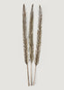 Natural Leaf Accents Dried Sword Palms at afloral