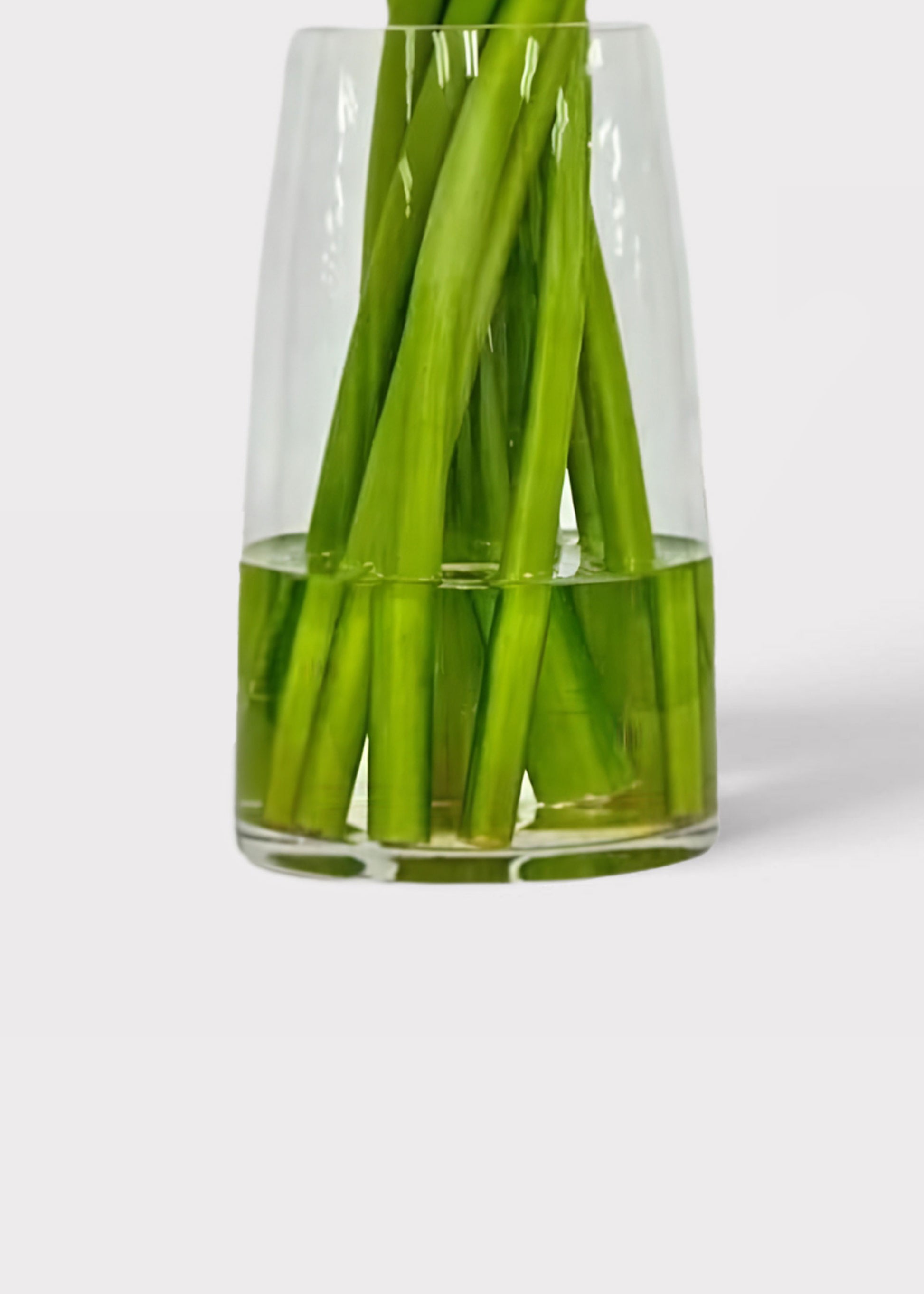 Clear glass vase with acrylic water and green stems