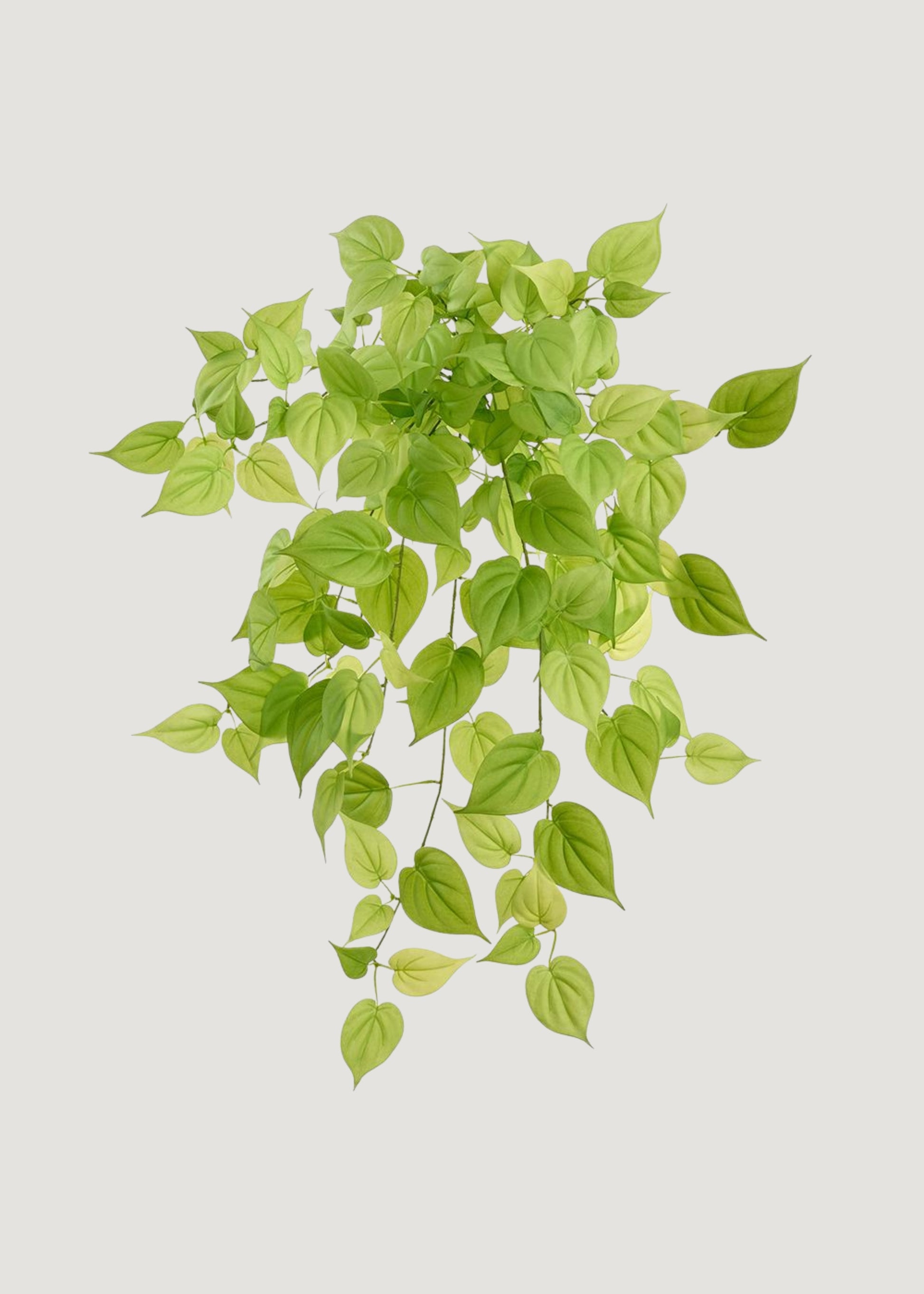large leaf hanging plant Large Fake UV Treated Outdoor Betel Leaf Hanging Vine Plant