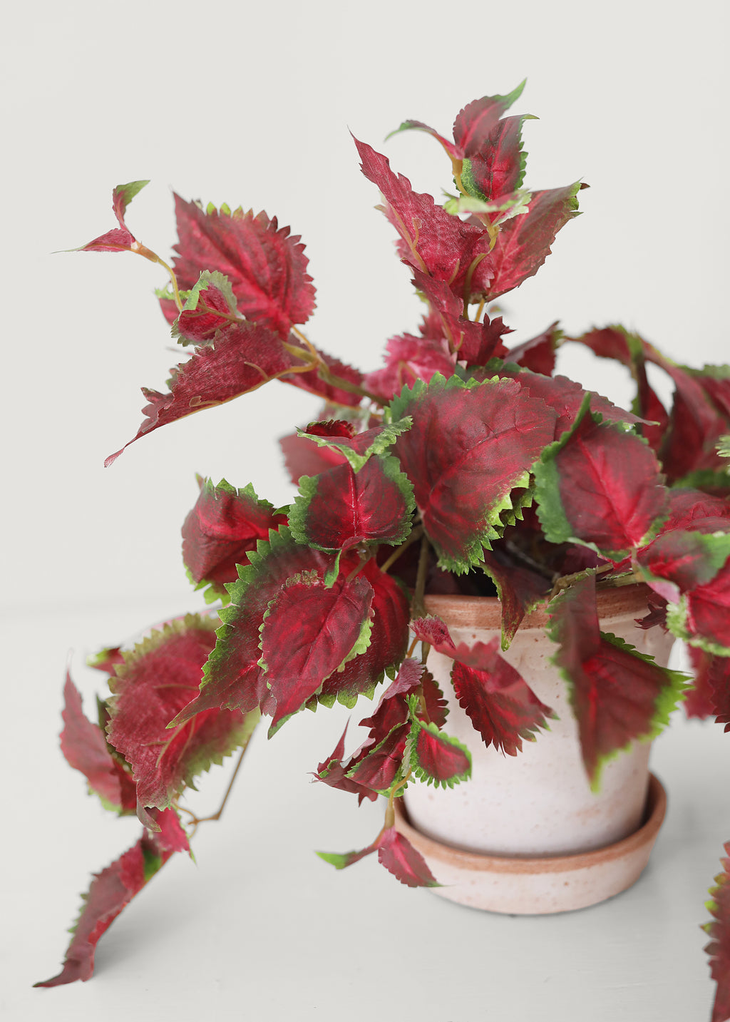 Styled Artificial Coleus in Planter Pot