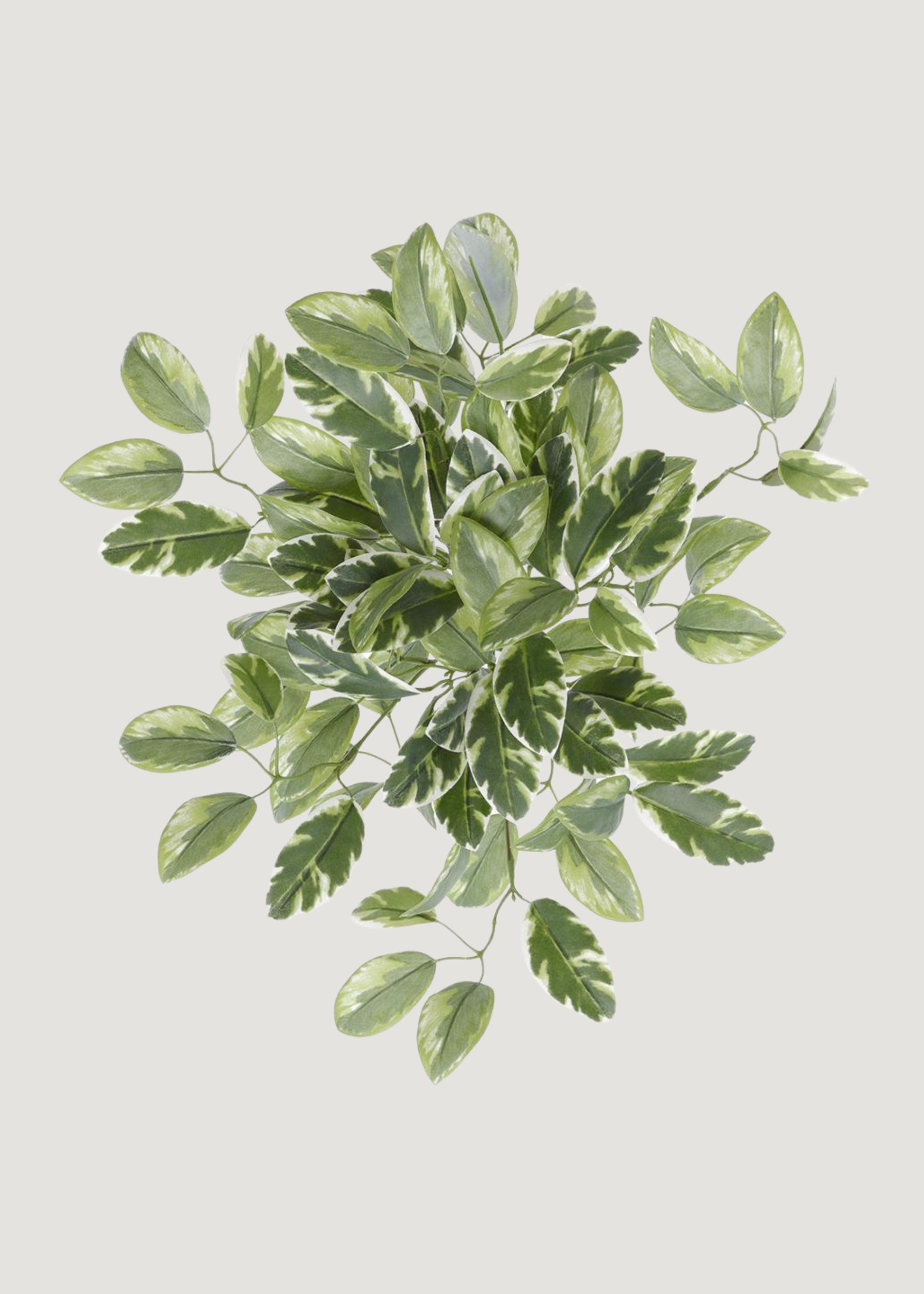 euphorbia hanging plant UV Treated Indoor/Outdoor Fake Euphorbia Hanging Leaf Bush