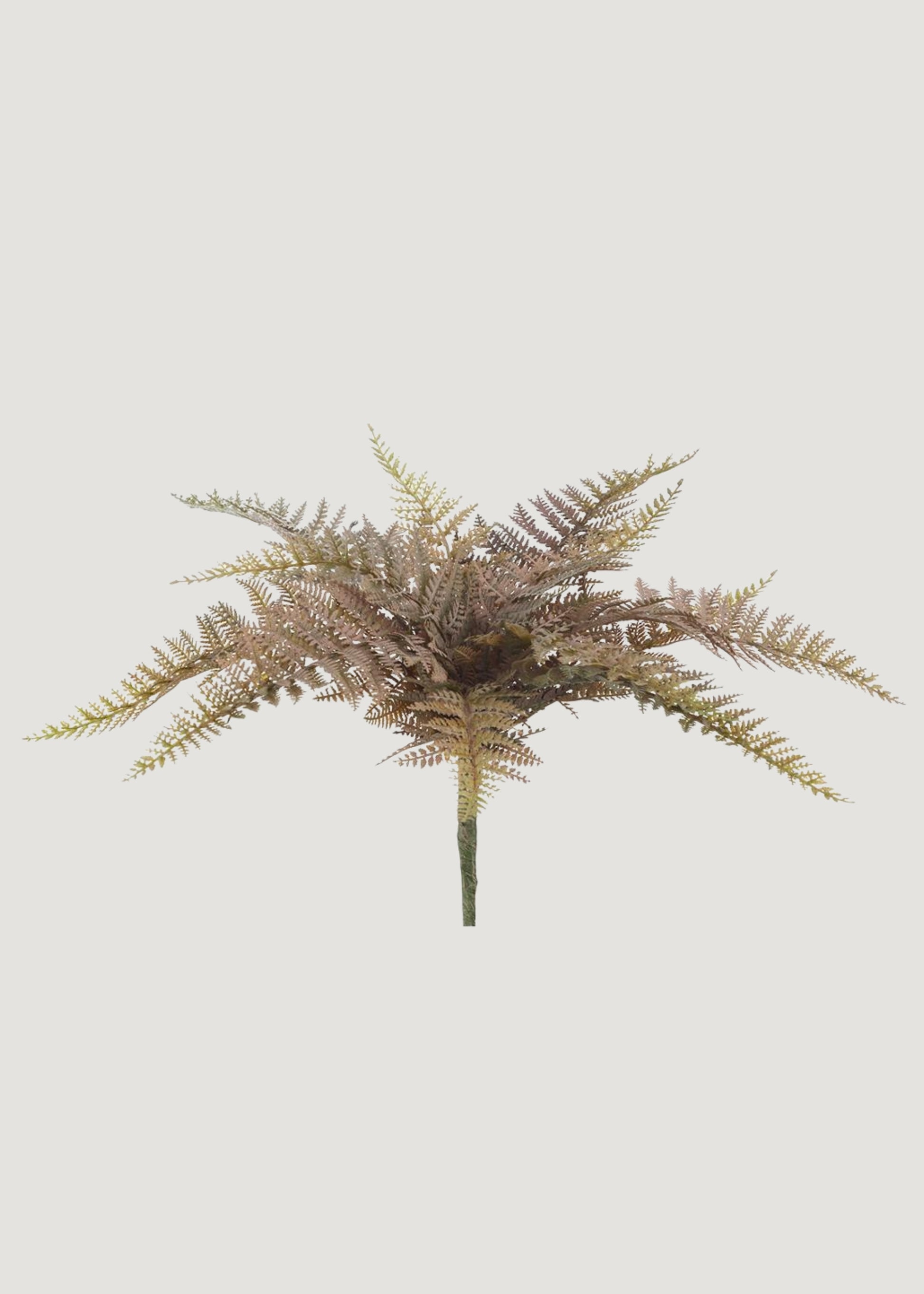 Fake Fern Leaf Bush in Autumn Mauve Green