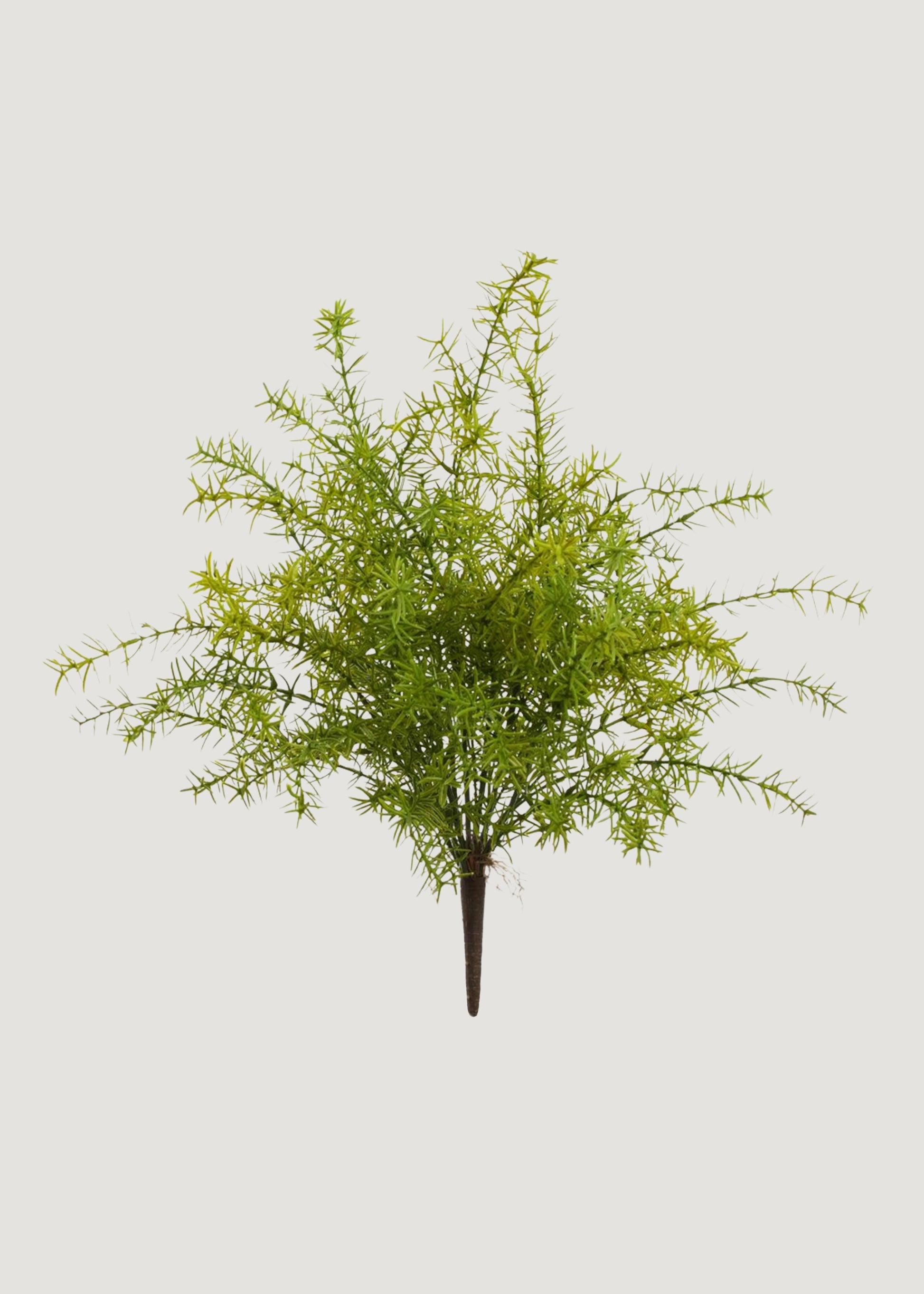 UV Treated Fake Sprengeri Fern Indoor/Outdoor Plant