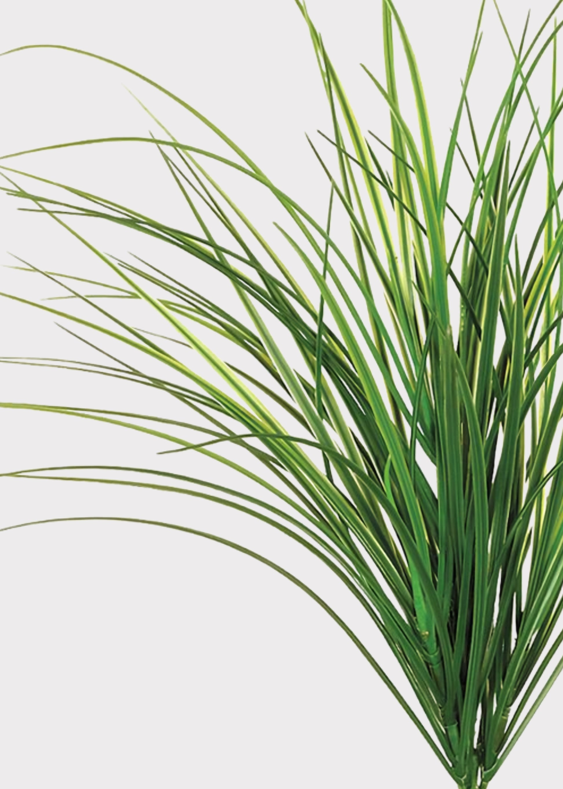 Artificial green grass or ornamental grass plant stem with long, slender blades, shown against a plain light gray background.