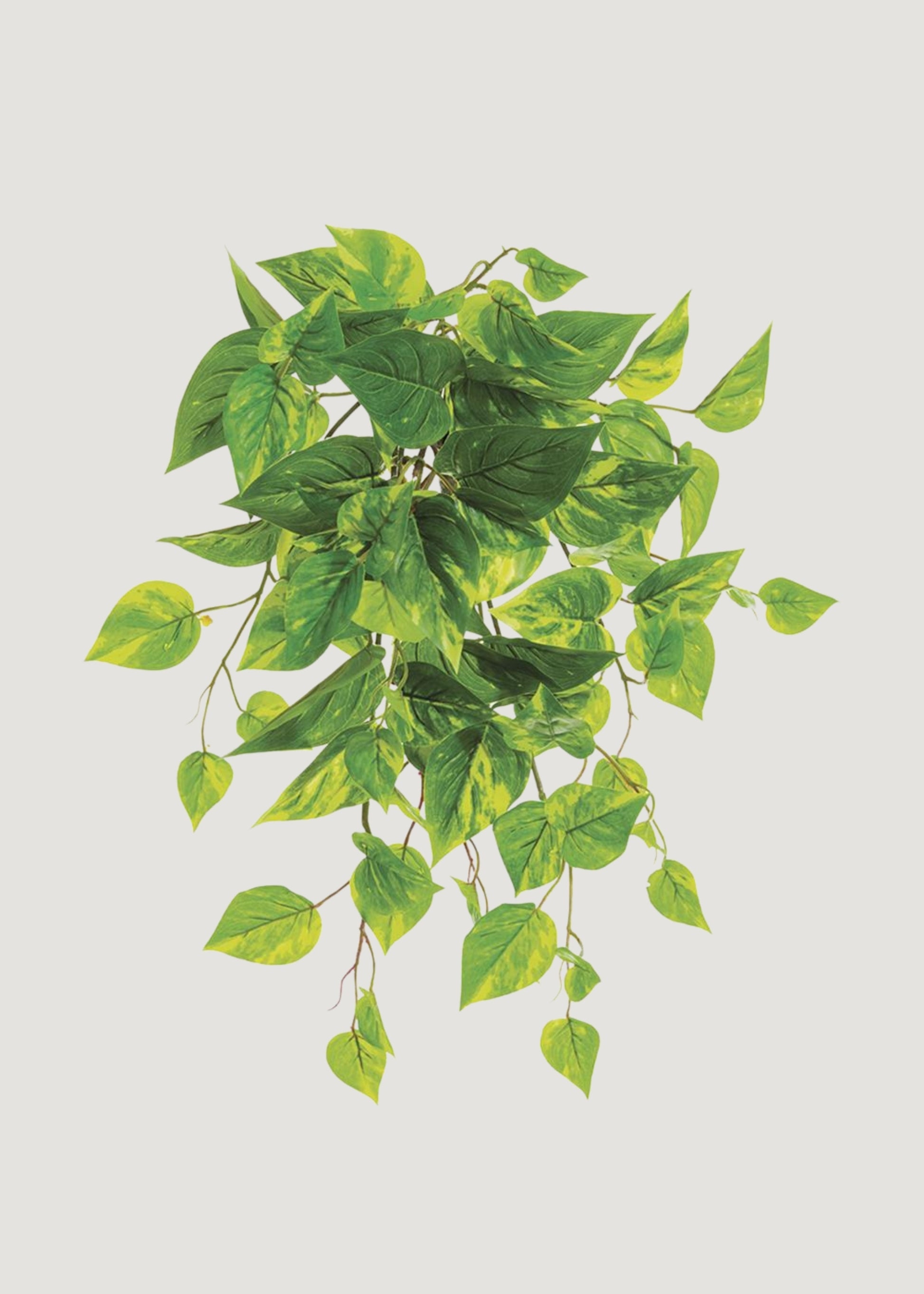 artificial pothos plants UV Treated Fake Indoor/Outdoor Pothos Plant Hanging Bush
