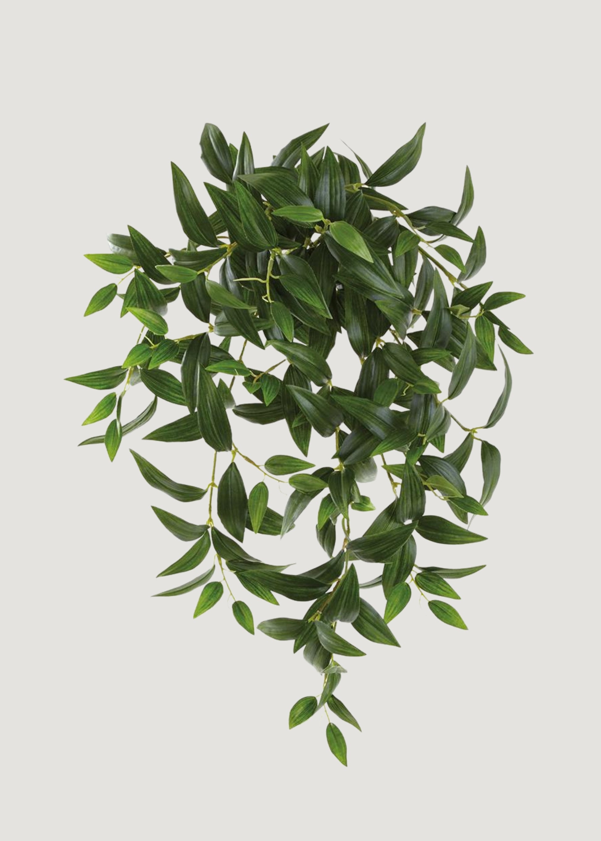 Artificial Hanging Ruscus Leaf Bush 