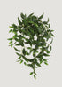 Artificial Hanging Ruscus Leaf Bush 