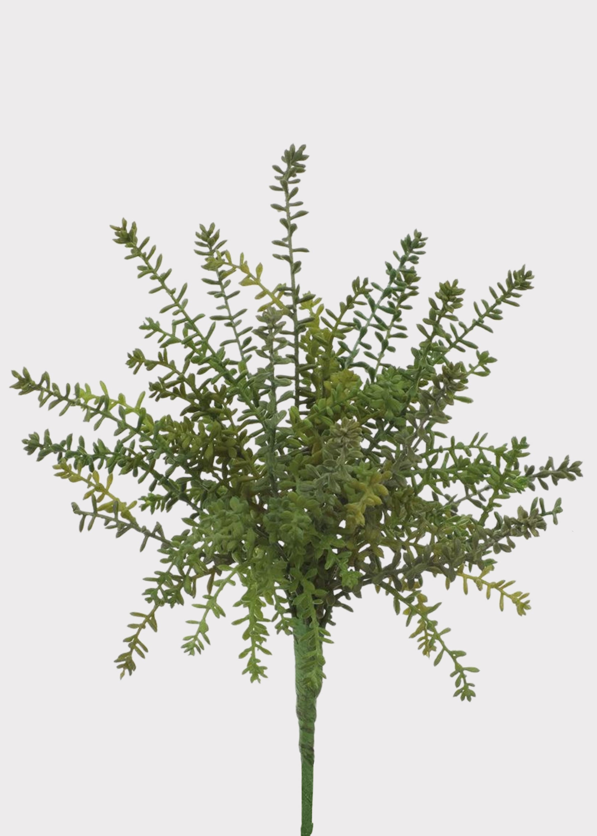 Fake Succulents Green Sedum Bush