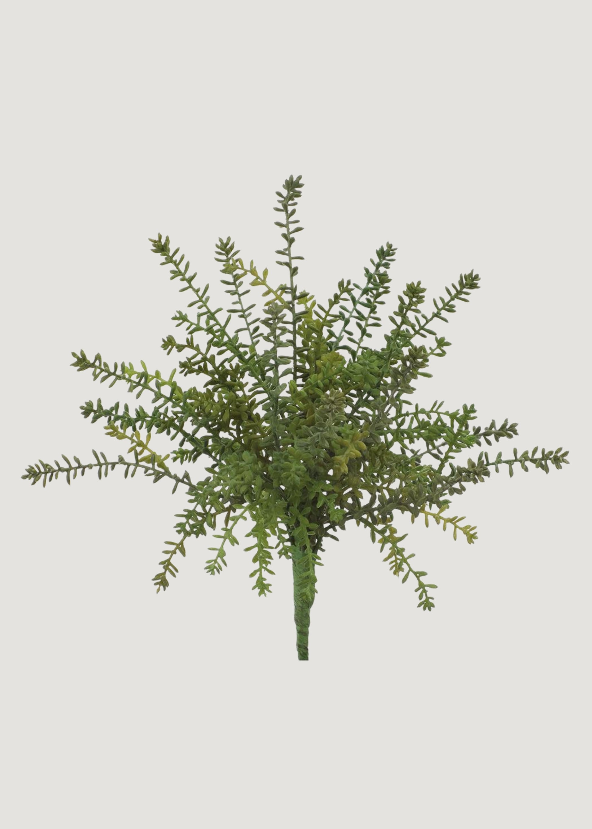 Fake Succulents Green Sedum Bush