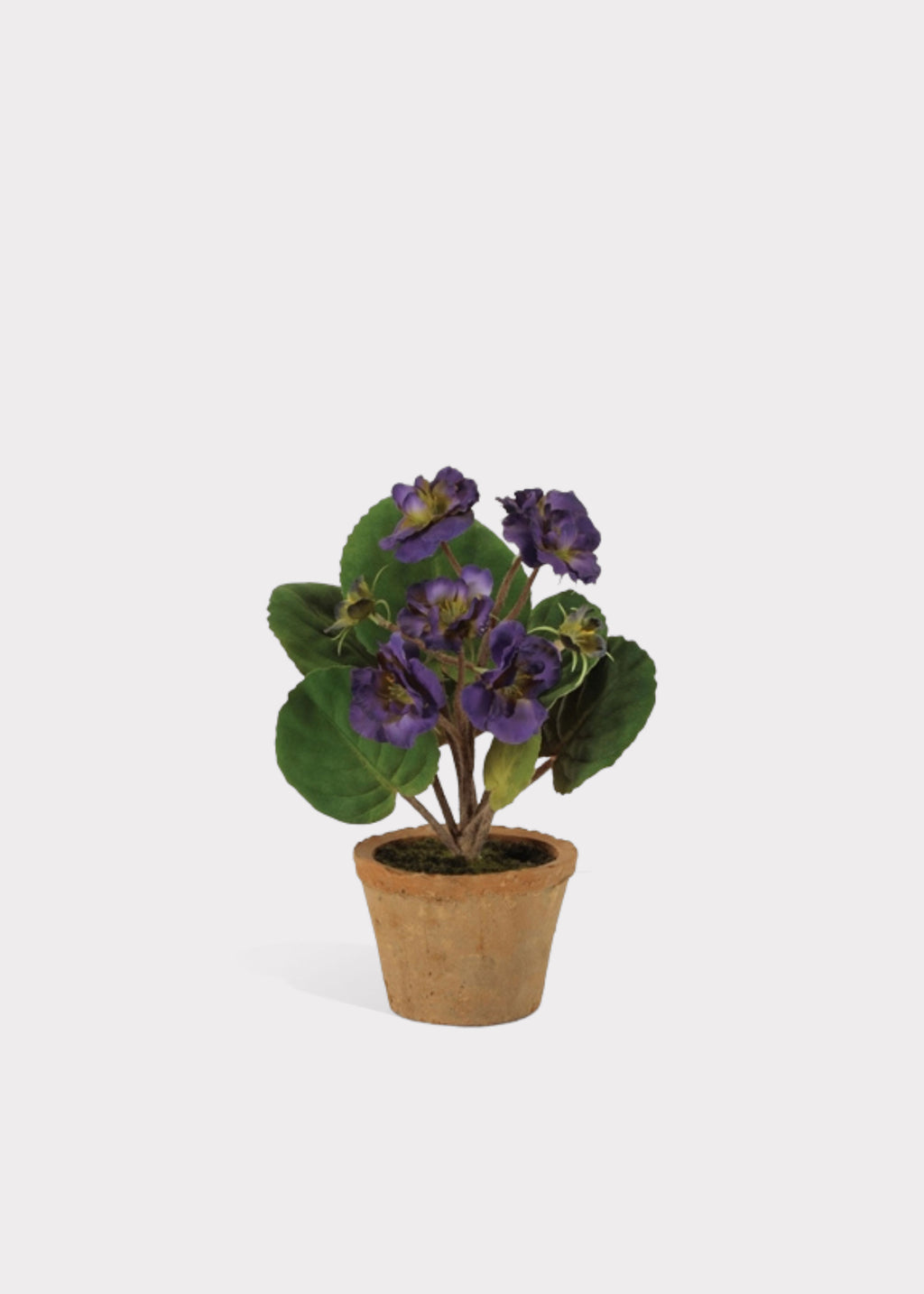 Purple Fake Potted African Violet Plant in Terra Cotta Pot