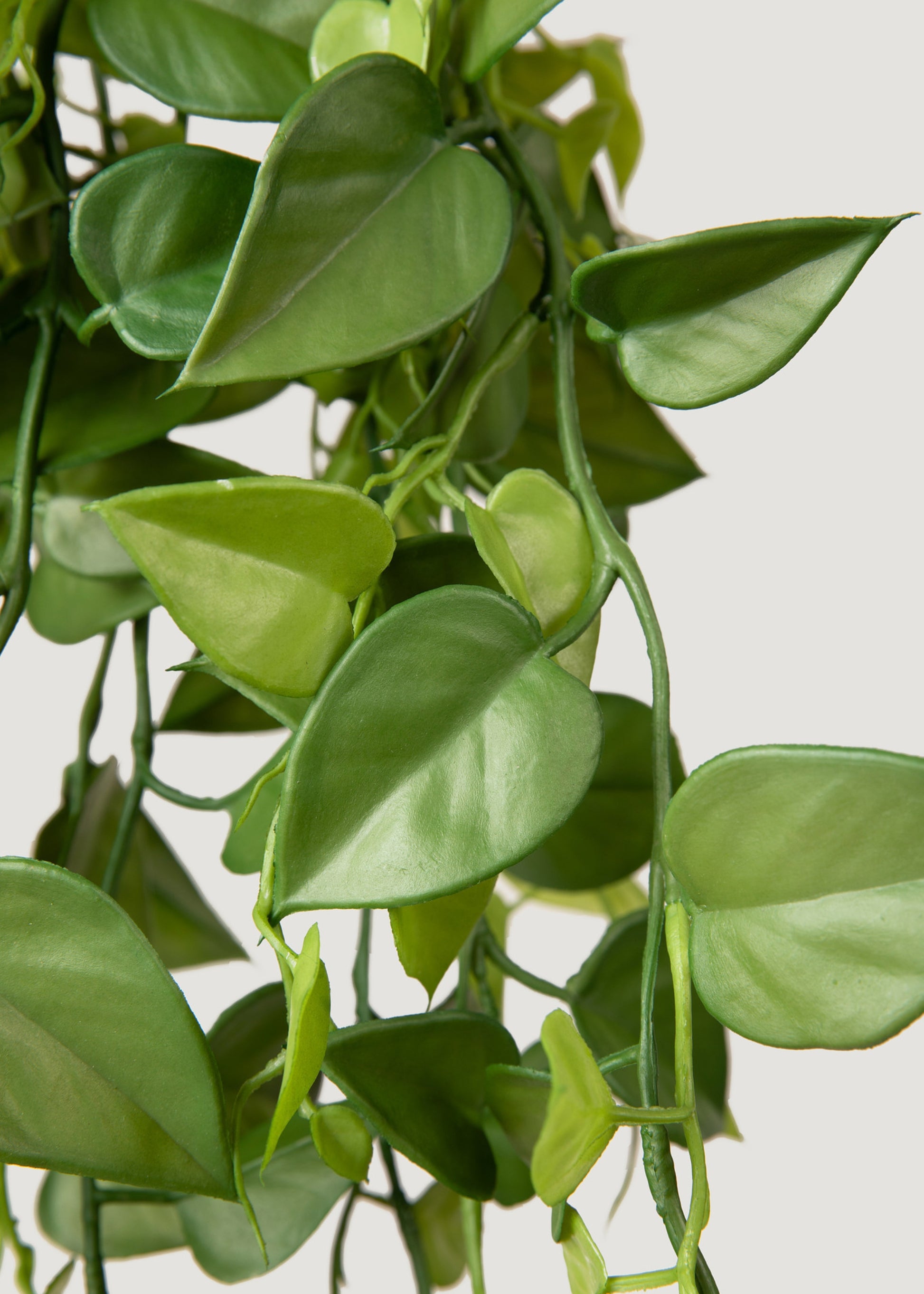 hanging philodendron for sale Artificial Plants Hanging Philodendron Bush