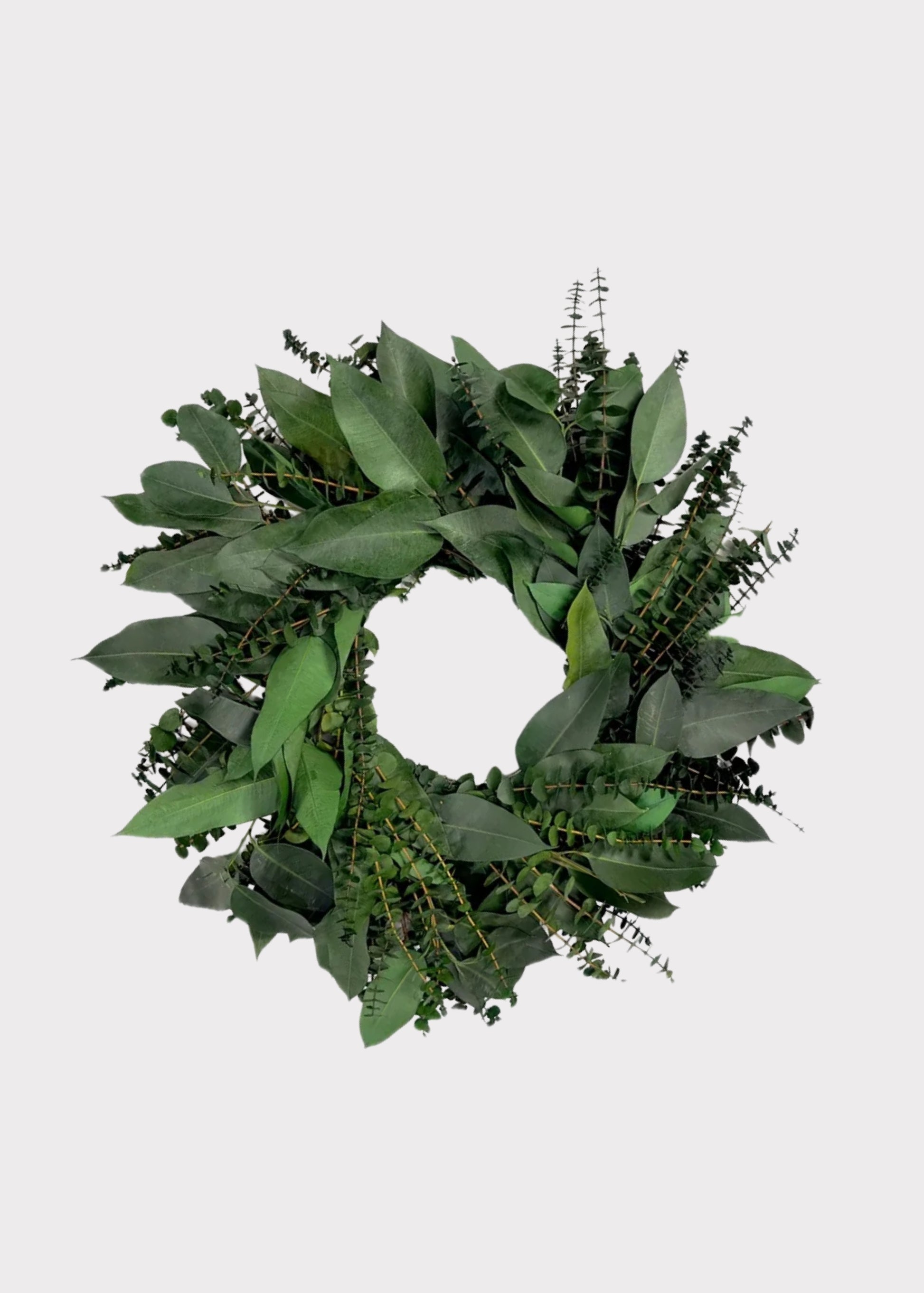 Green Preserved Diamond Eucalyptus Leaf Wreath 