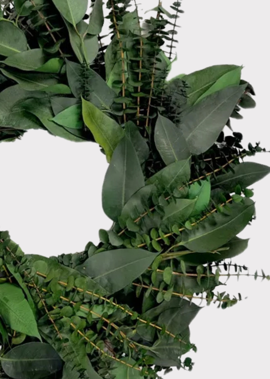 Close-up of a Eucalyptus Leaf Wreath