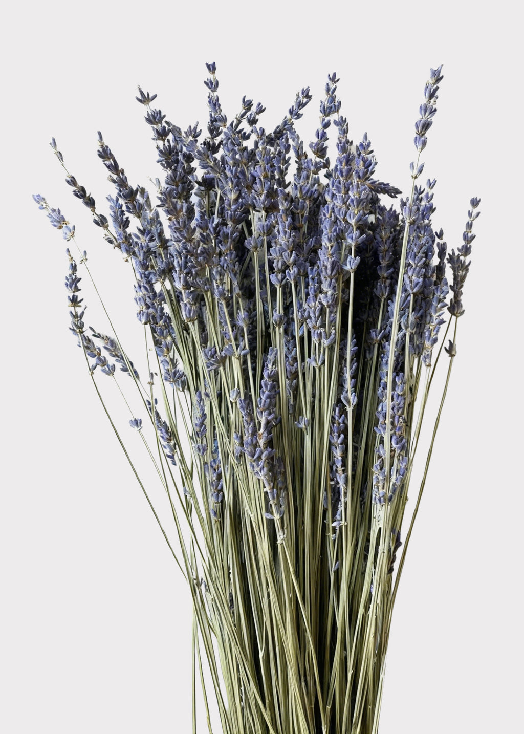 Natural Fragrant Lavender Dried Flowers