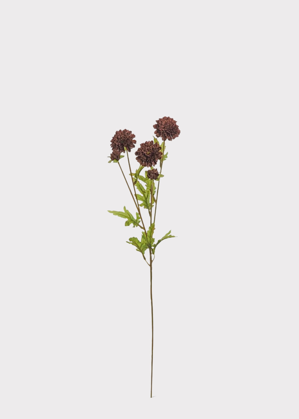 Artificial Pompon Mums in Chocolate Brown 