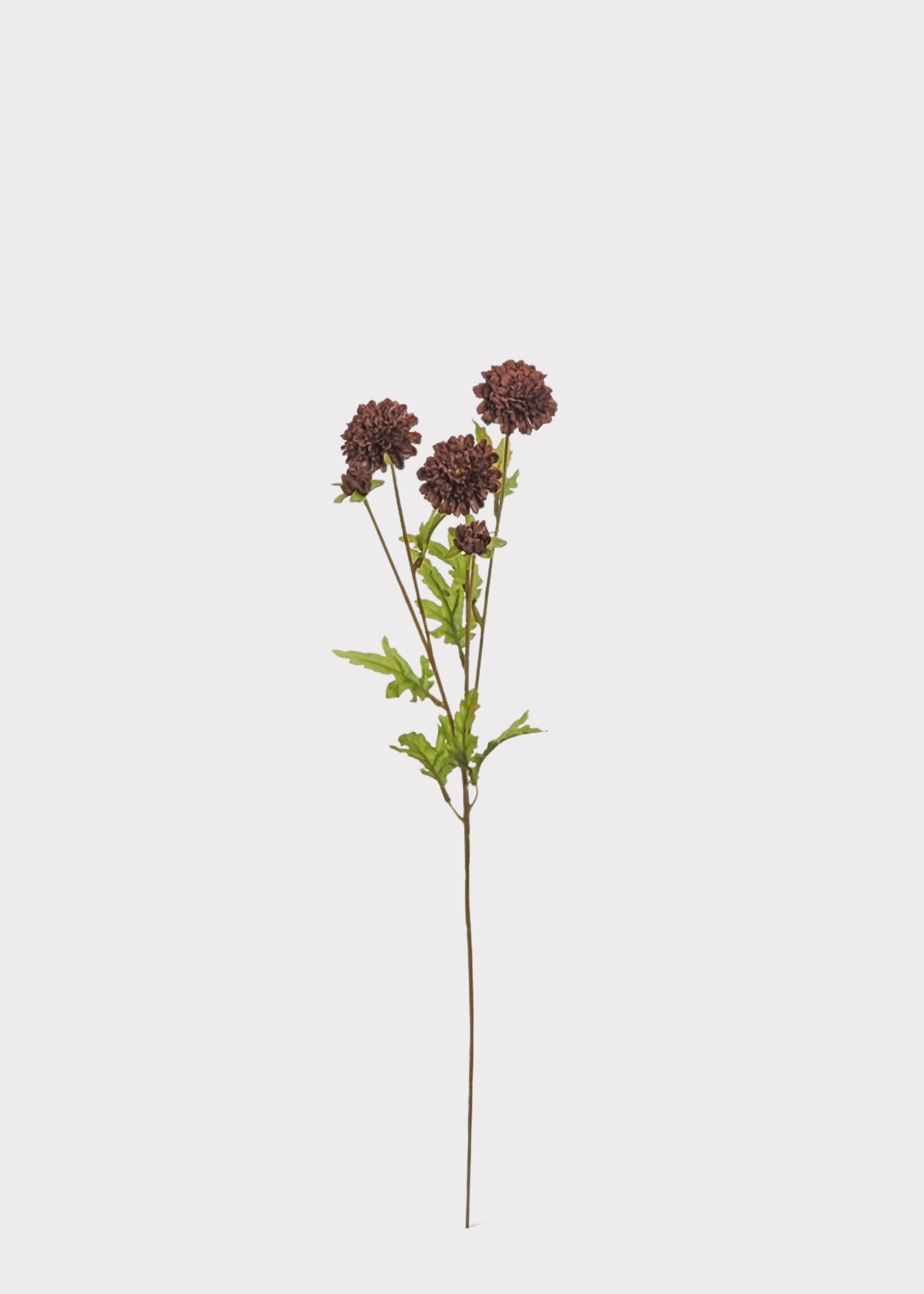 Artificial Pompon Mums in Chocolate Brown 