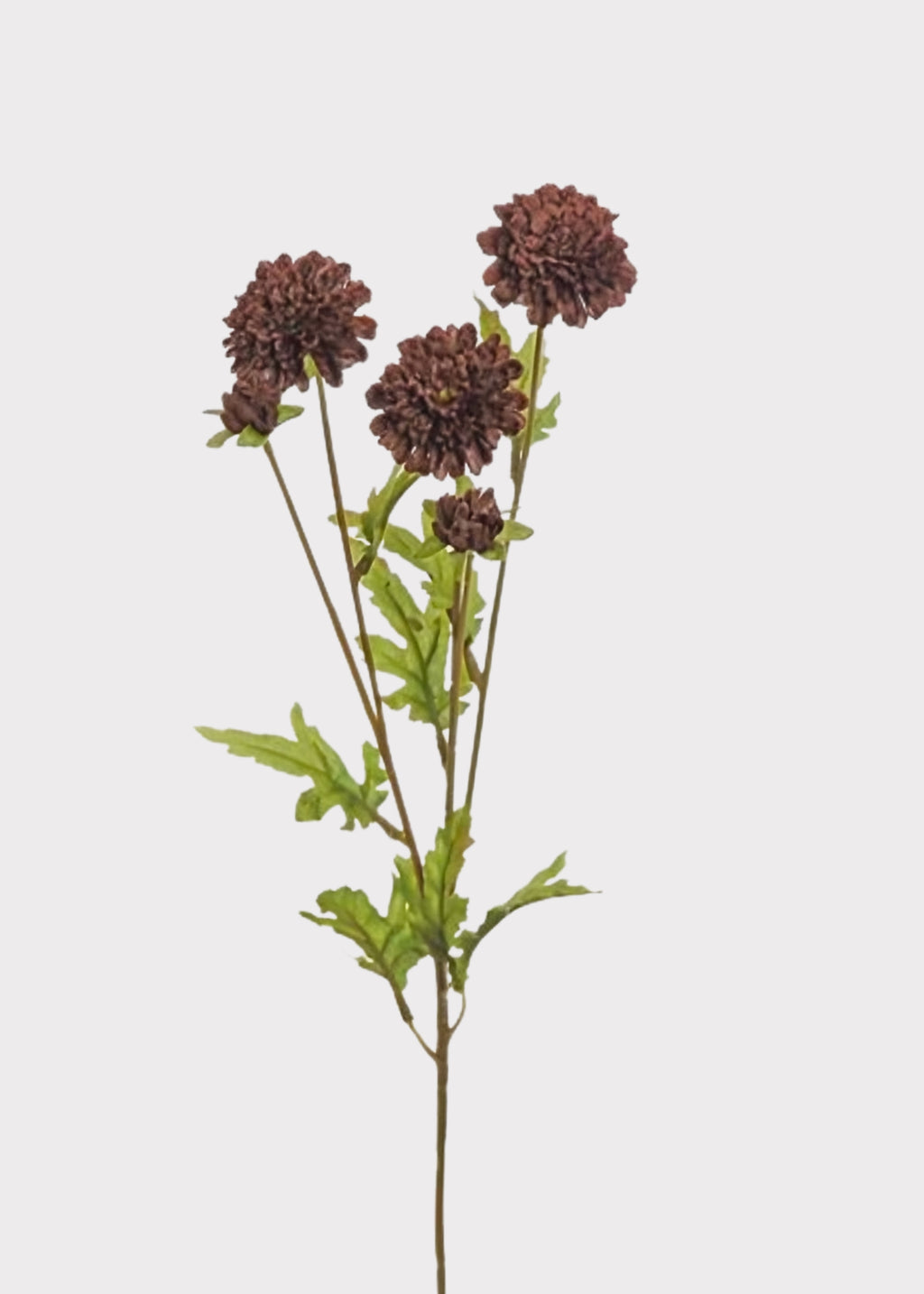 Chocolate Brown Artificial Pompon Mums
