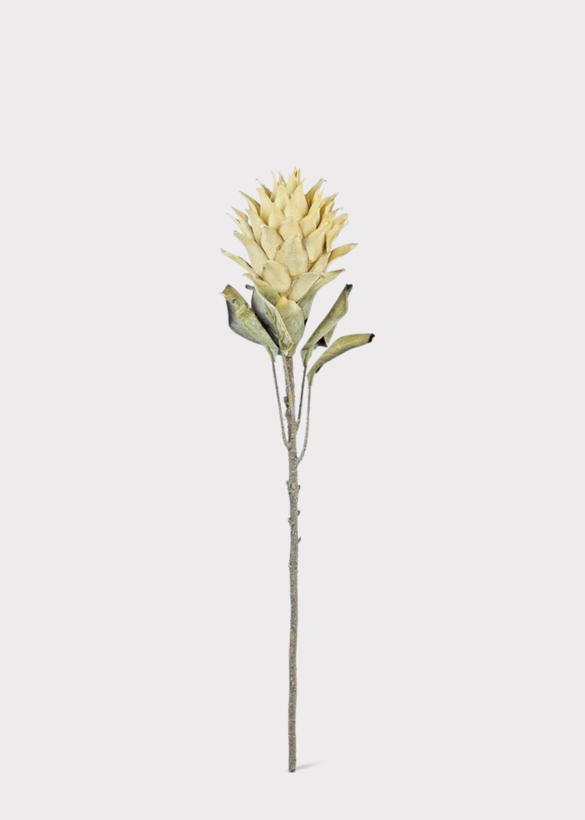 Artificial Protea Tropical Flower Stem in Parchment
