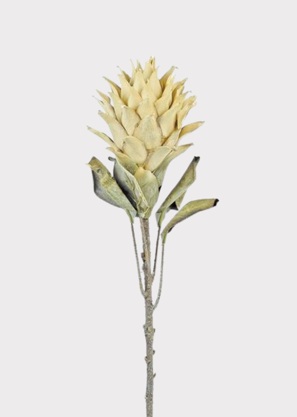 Cream Parchment Artificial Protea 