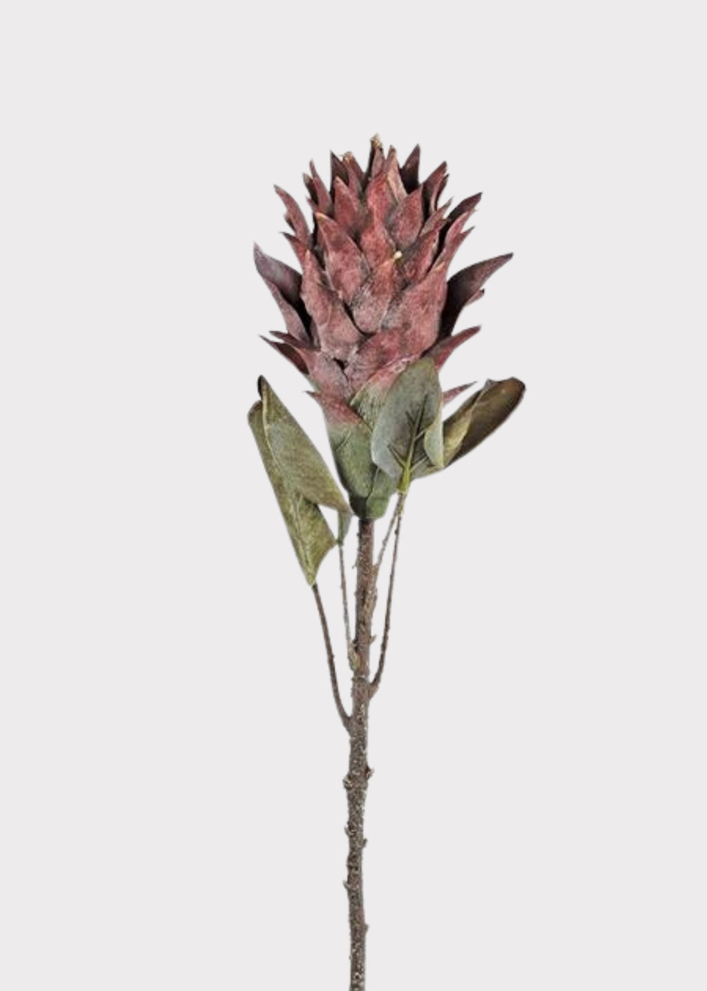 Fake Burgundy Protea 