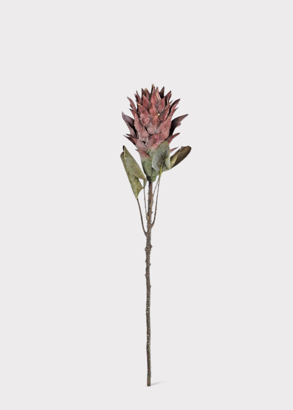 Fake Protea Tropical Flower Stem in Earthy Fall Wine Hue