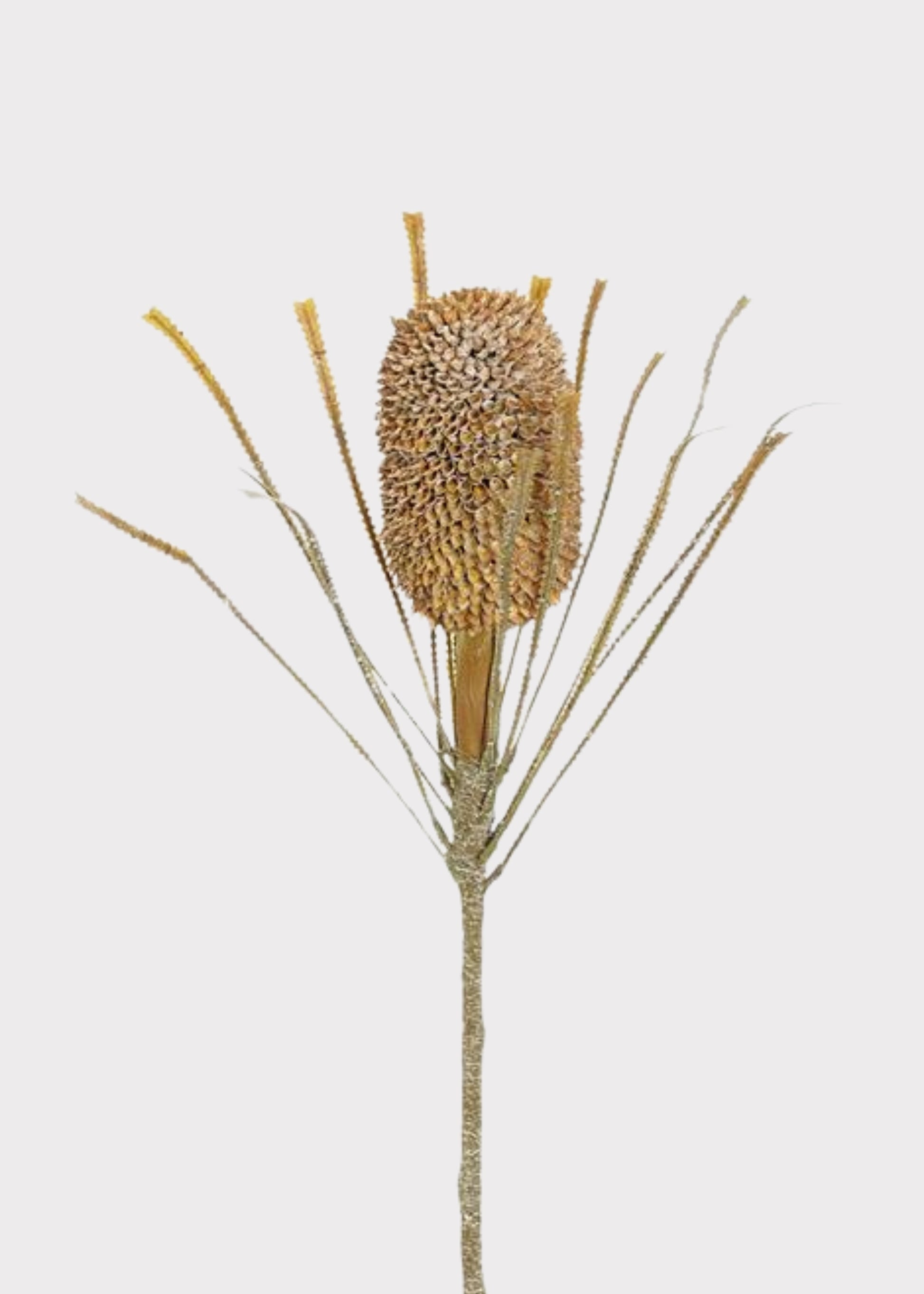 Dried-Look King Protea Flower Stem in Toffee