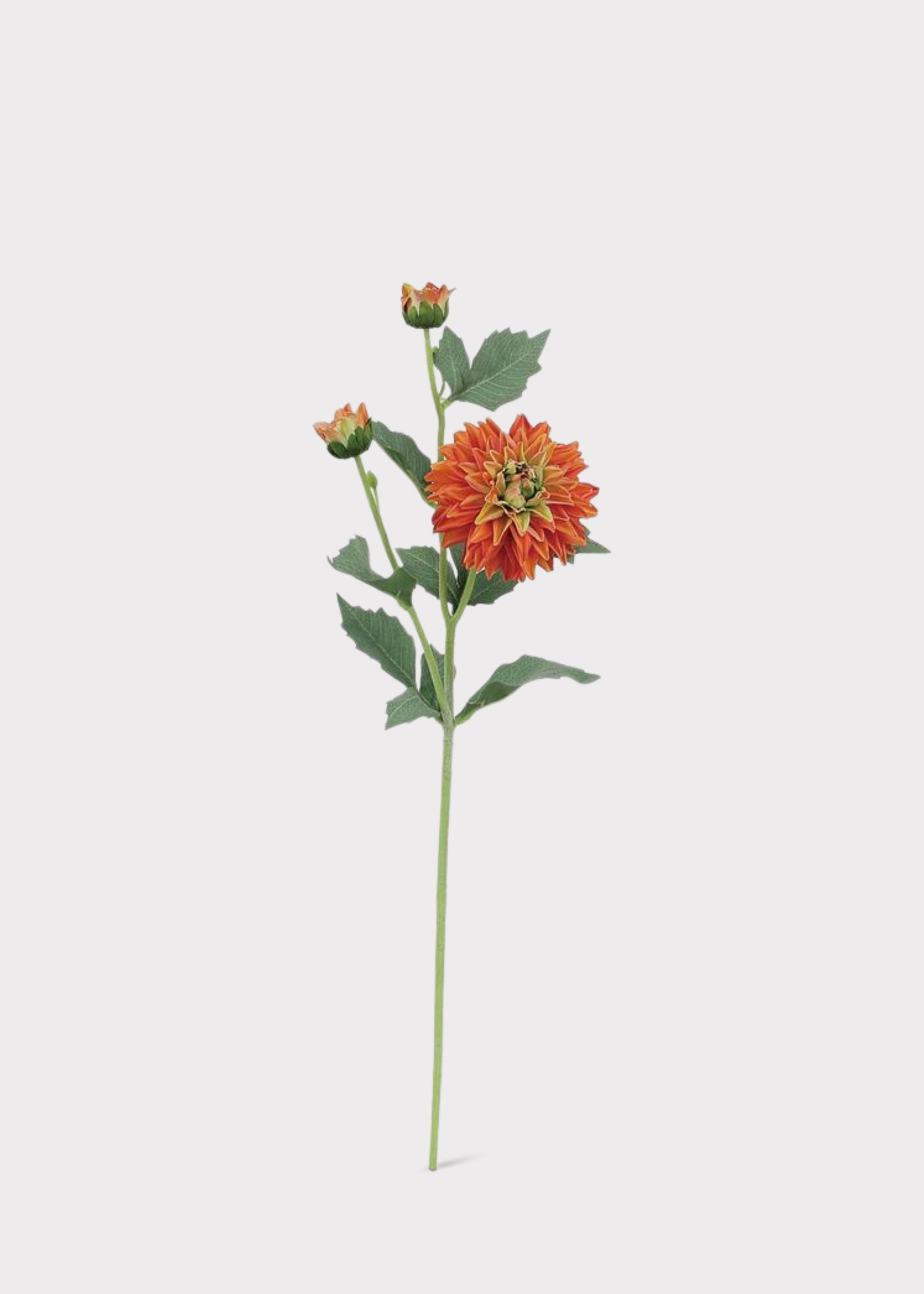 Orange Real Touch Dahlia 