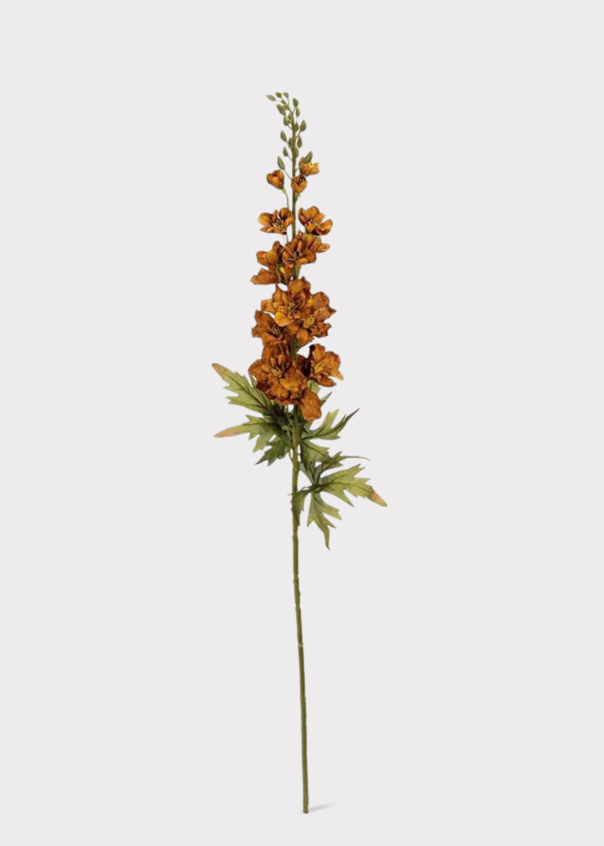  Fake Delphinium Flower in Brown