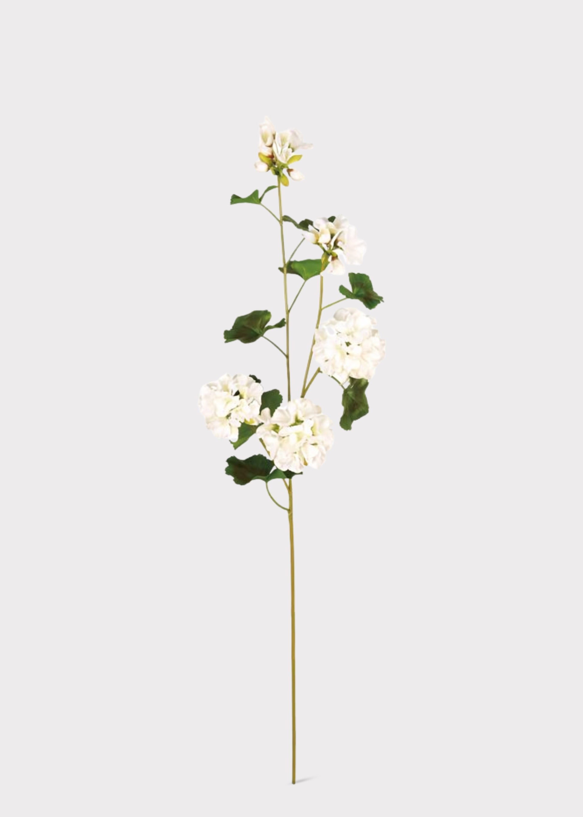 UV Treated White Geranium Branch