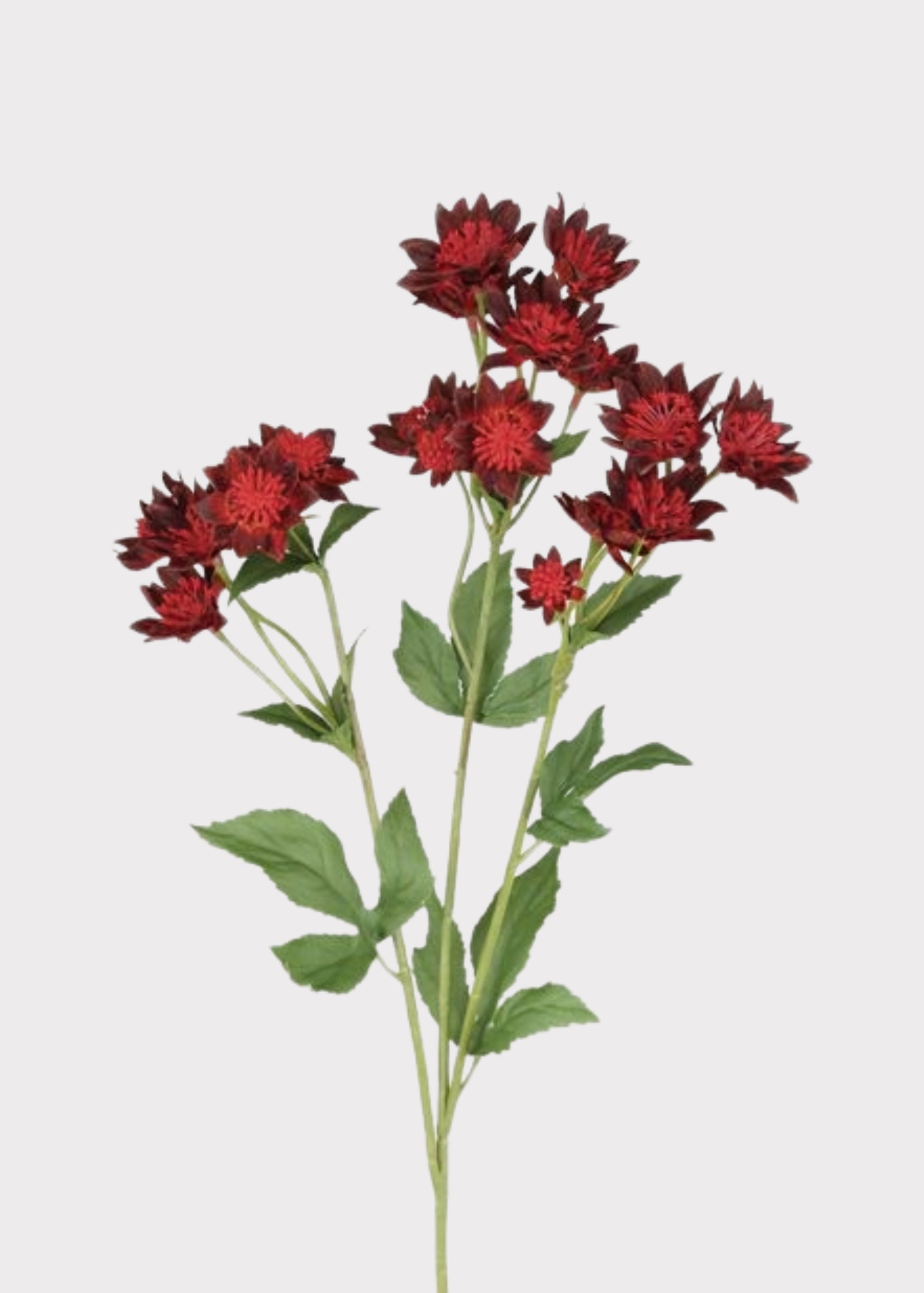 Red Artificial Astrantia Flowers