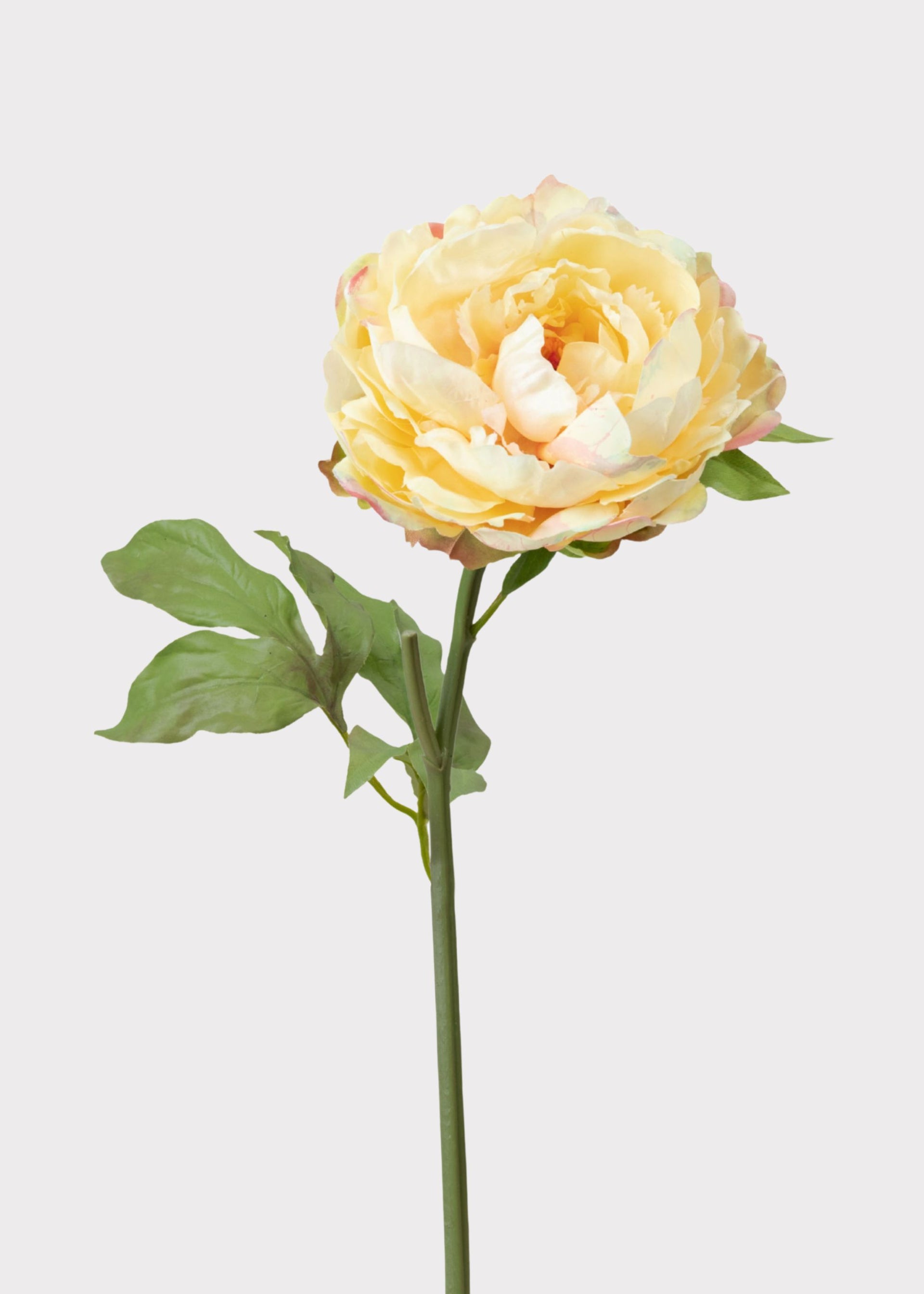Real Touch Peony in Yellow | Realistic Artificial Flowers