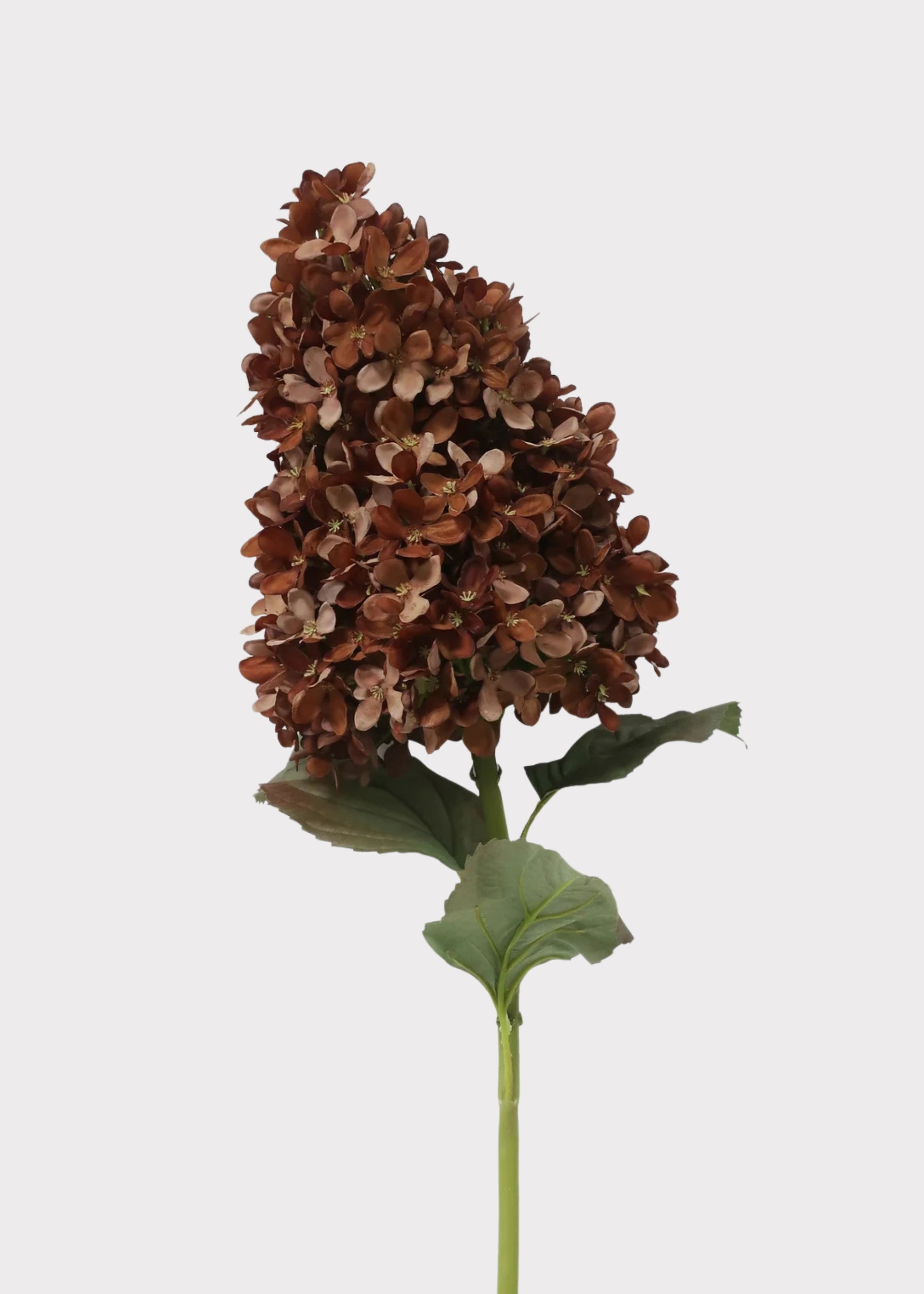 Dried Look Hydrangea in Brown 