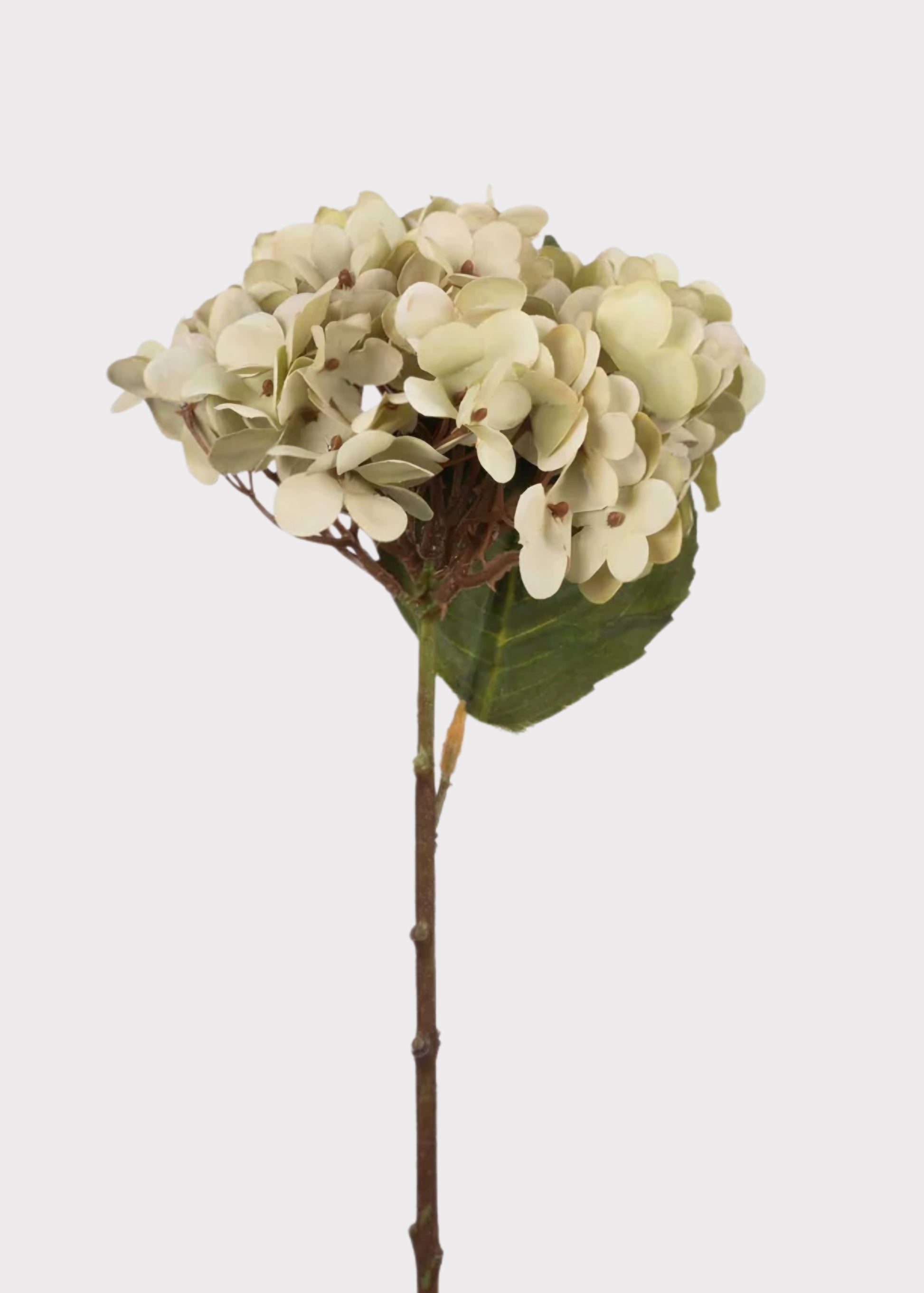 Artificial Hydrangea Flower in Soft Green