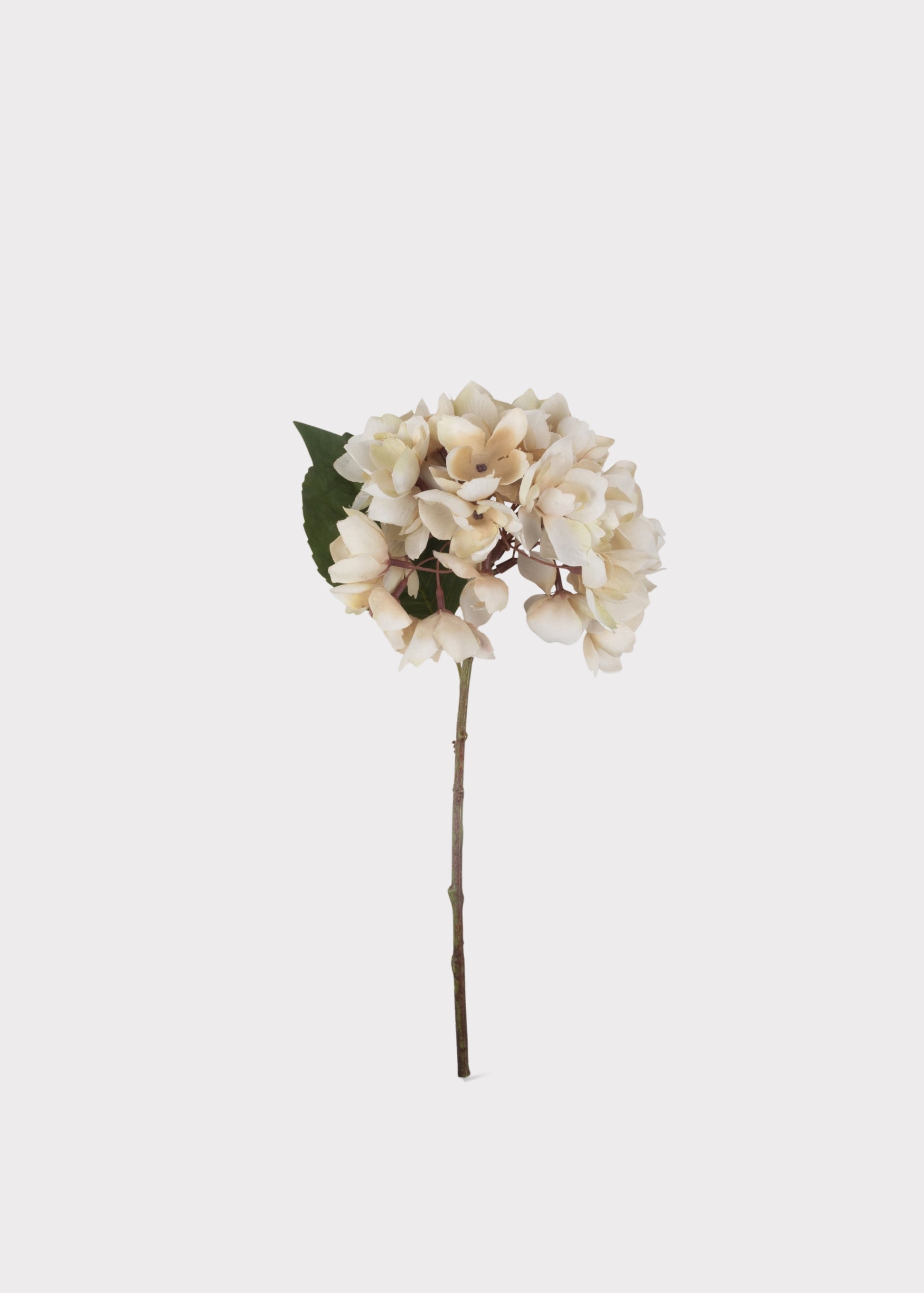 beige faux hydrangea stem
