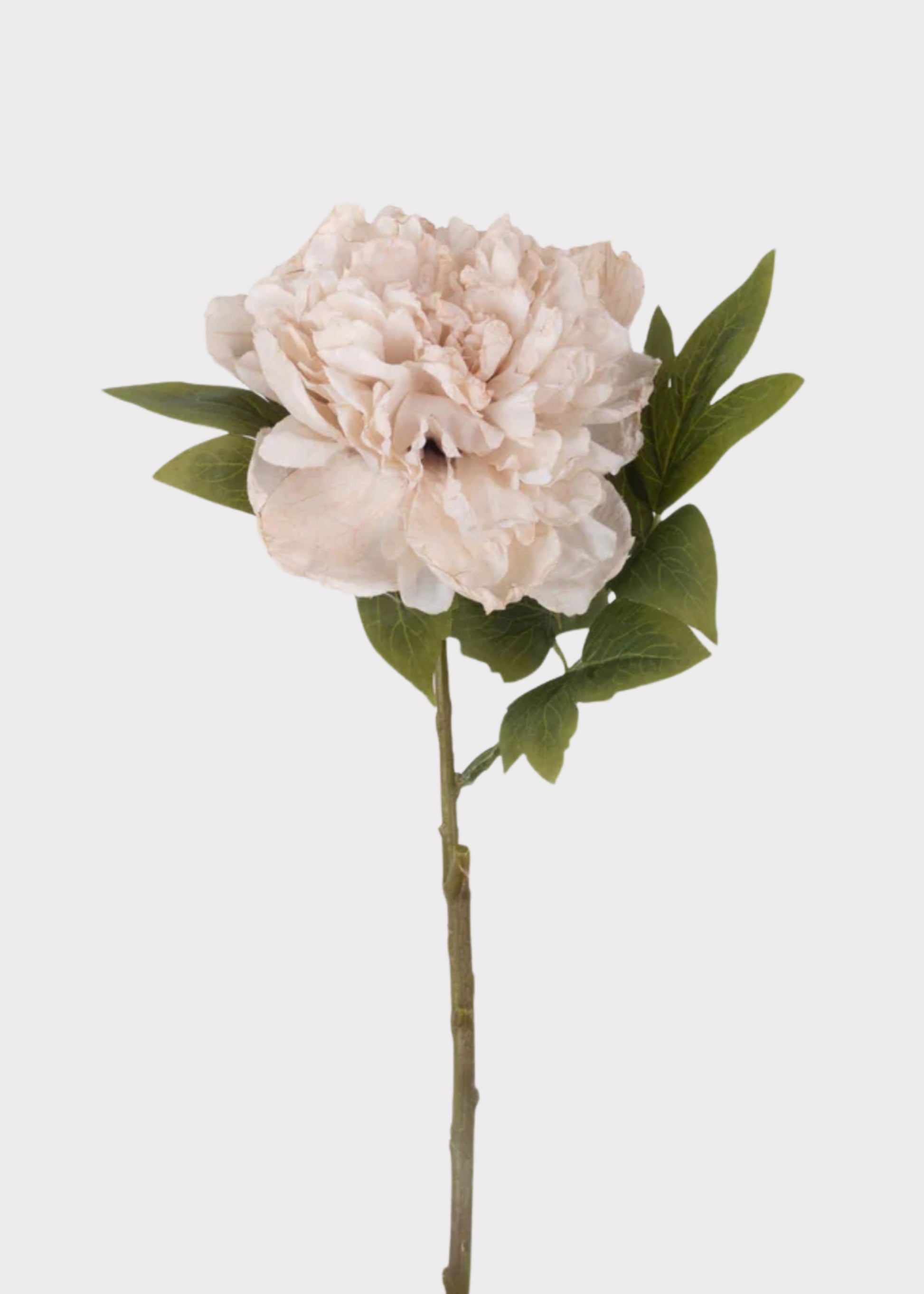Beige Blush Artificial Peony Flower