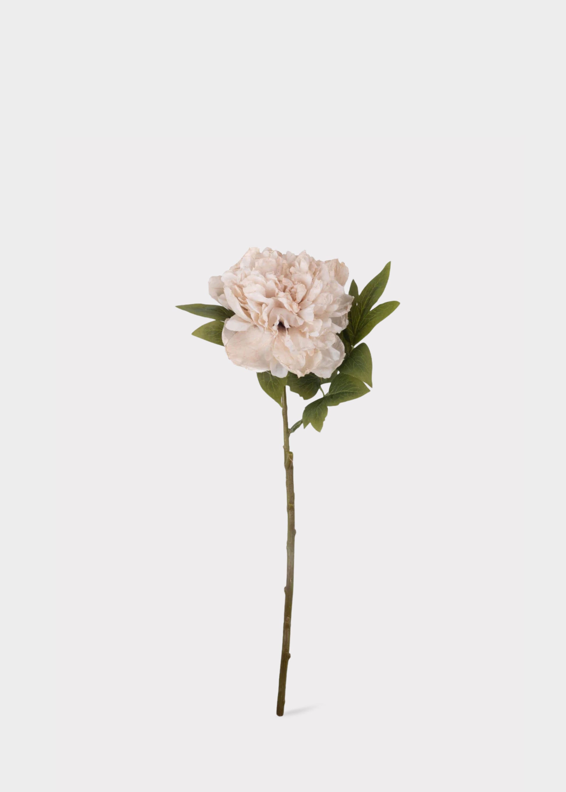 Beige Blush Artificial Peony