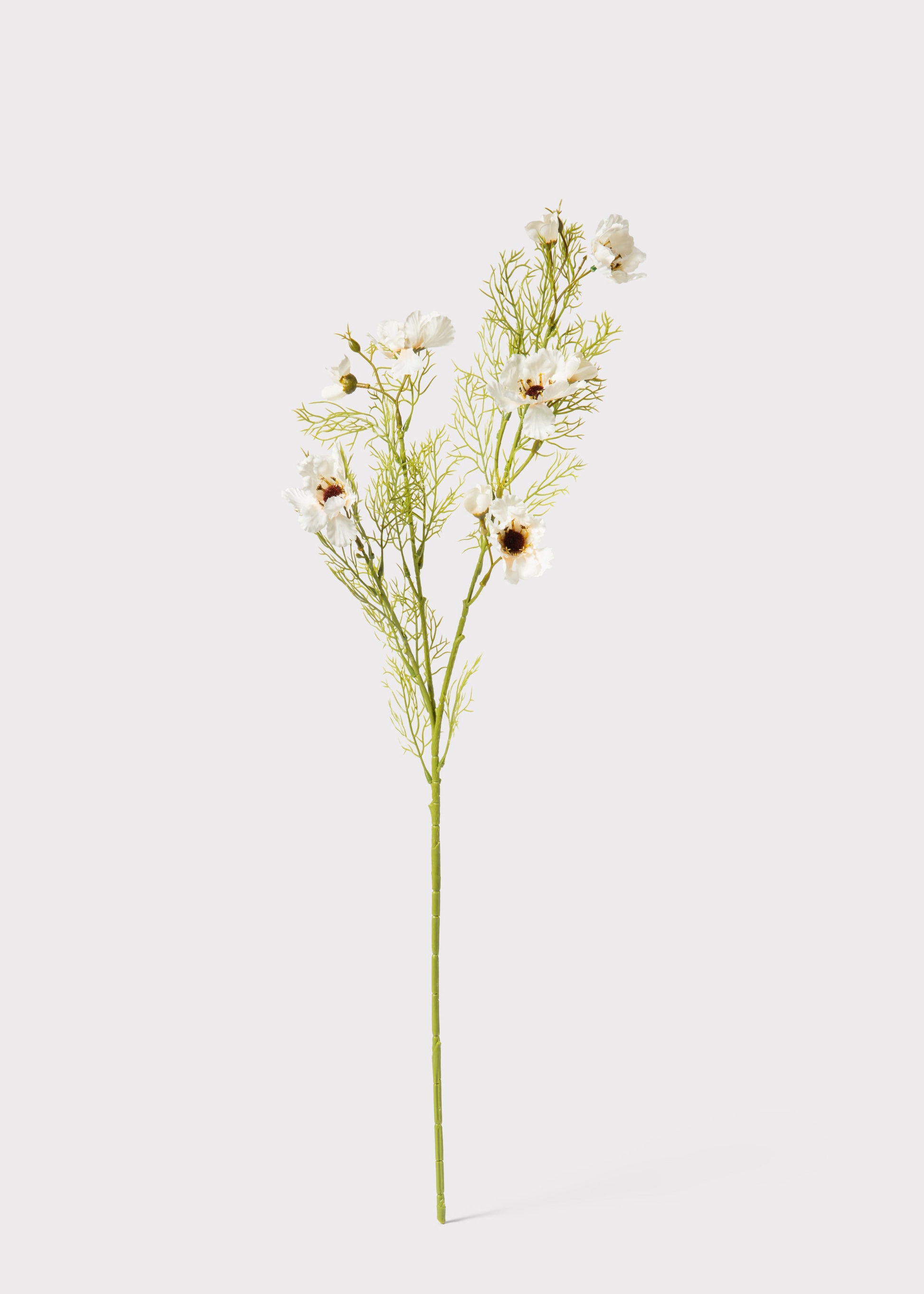 Artificial Cosmos Flower Branch in Cream