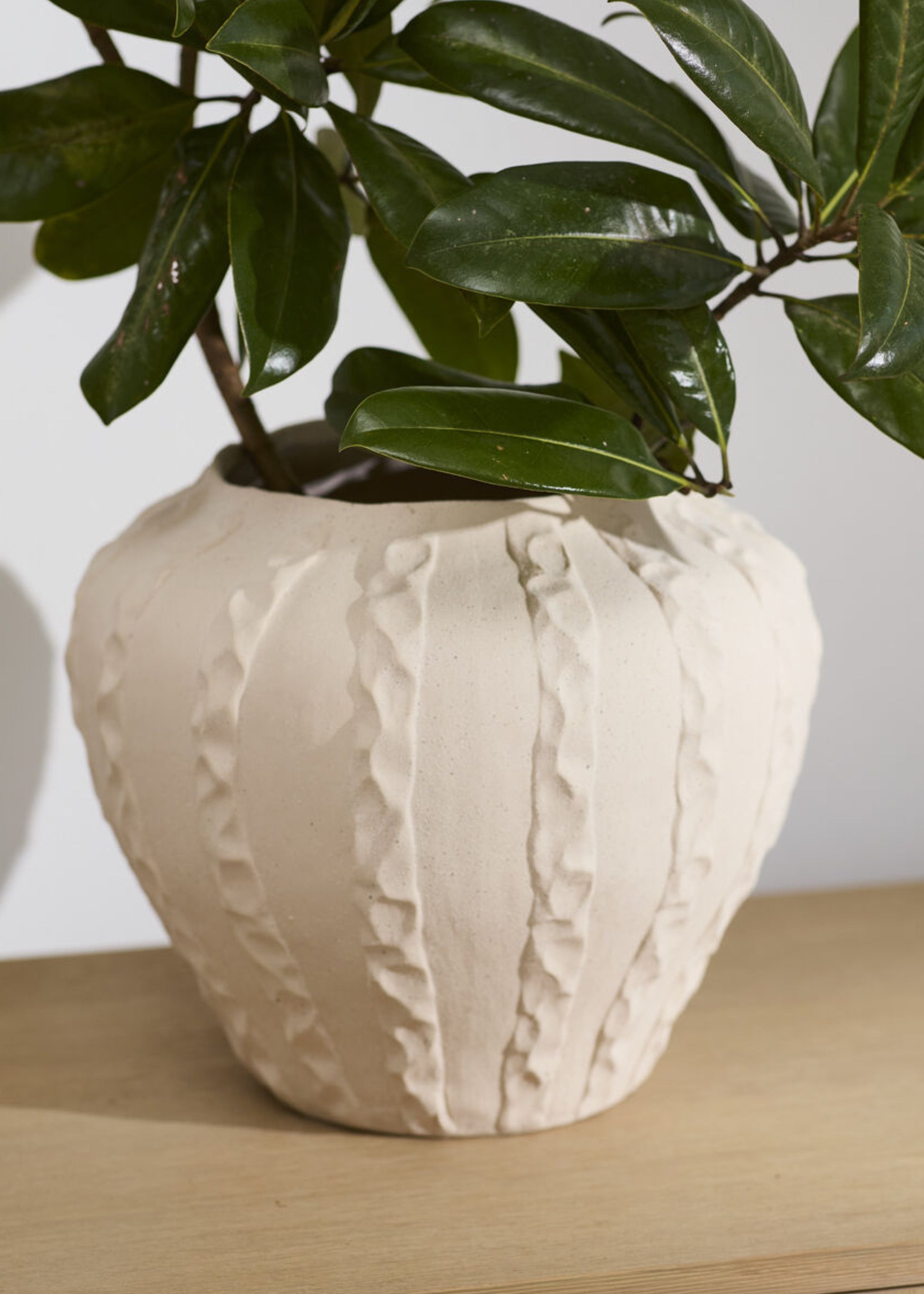 Close-up of Textured Round Ceramic Vase