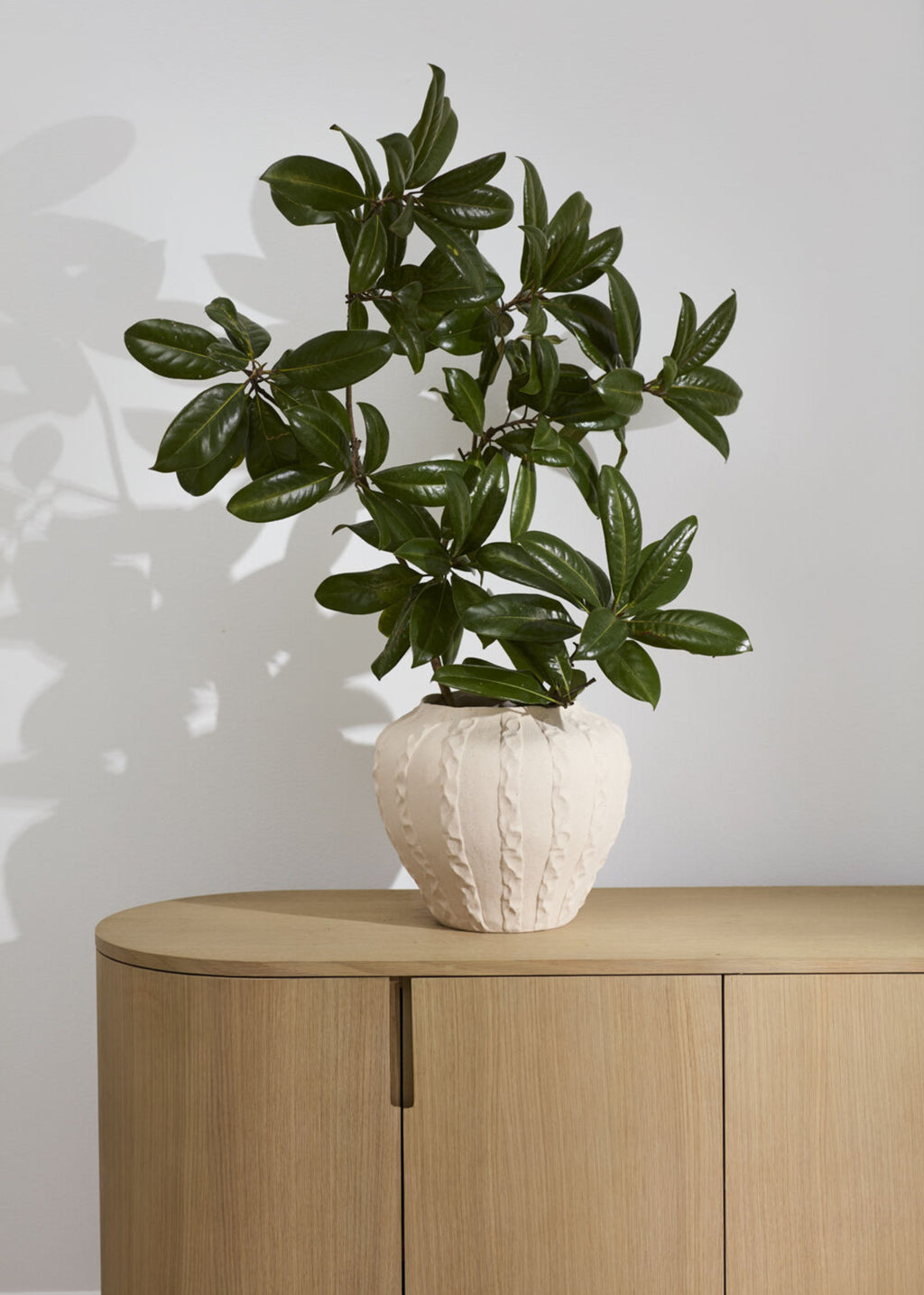 Textured Round Ceramic Vase with a Houseplant