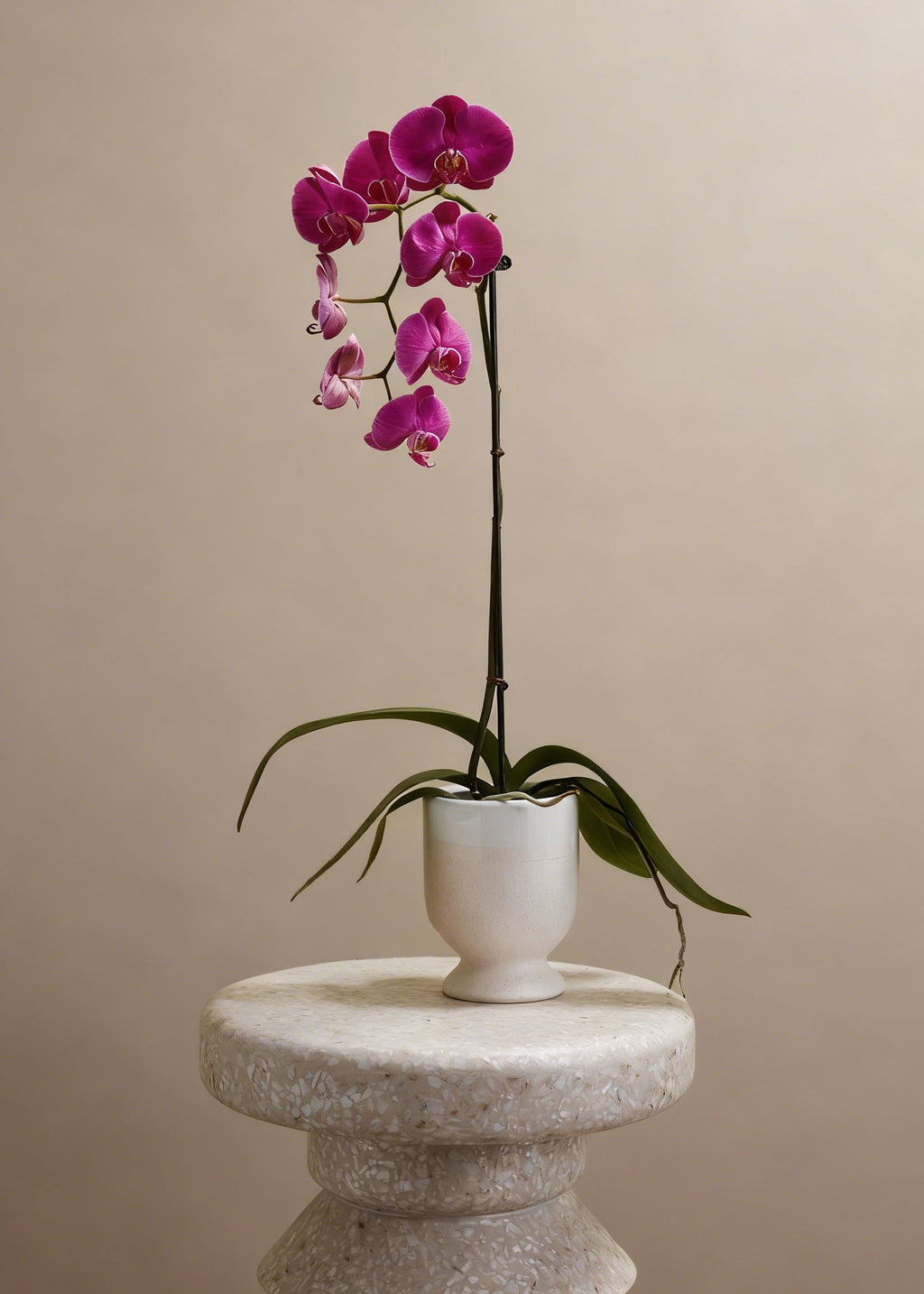 Footed Speckled Vase with Orchid