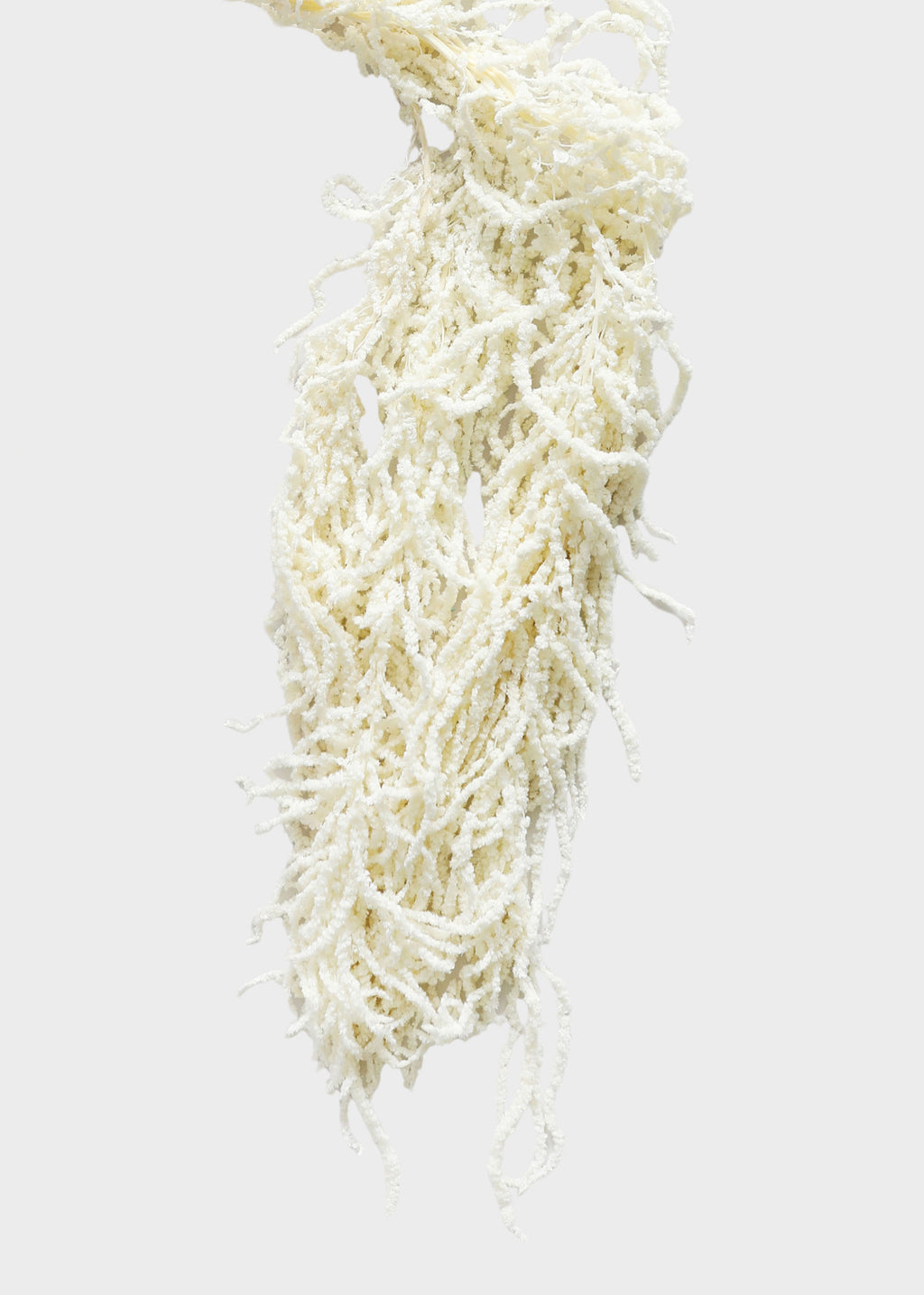 Preserved Hanging Amaranthus Flowers in White