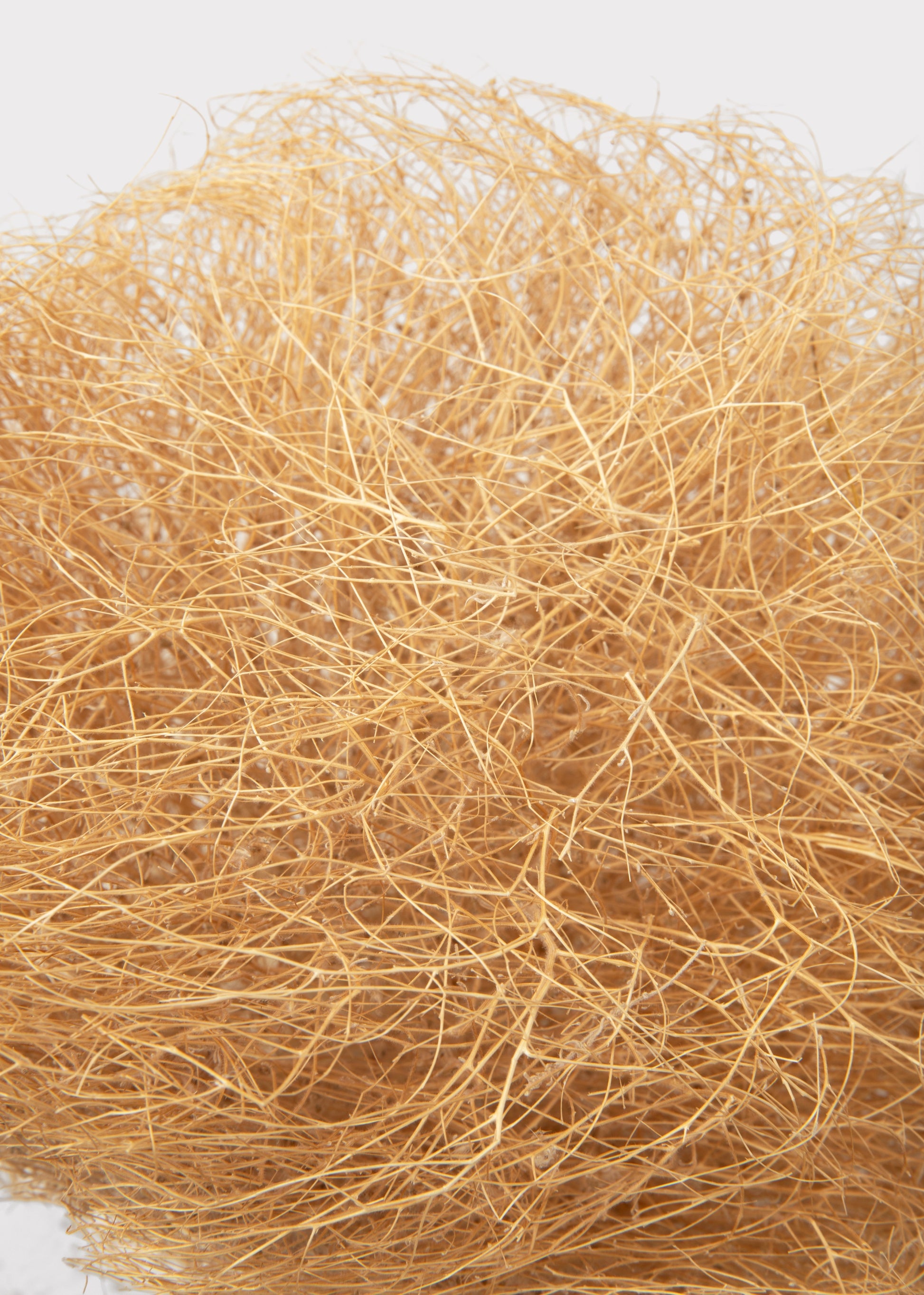 Close-up of Dried Tumbleweed Bunch