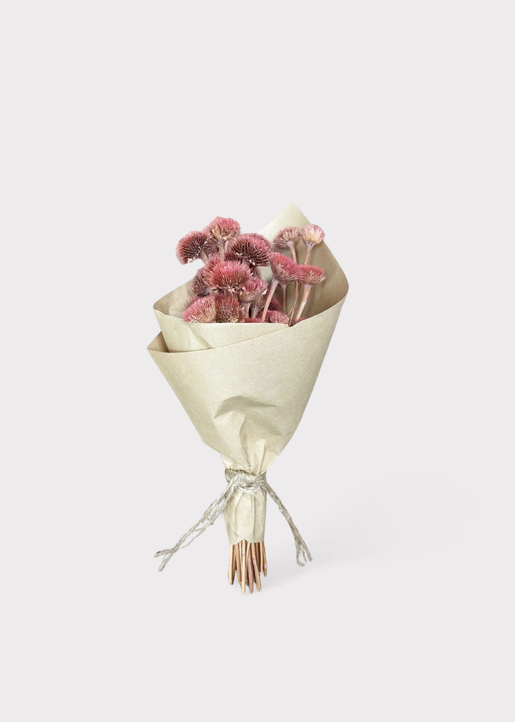 Mini Daisy Dried Flower Bouquet