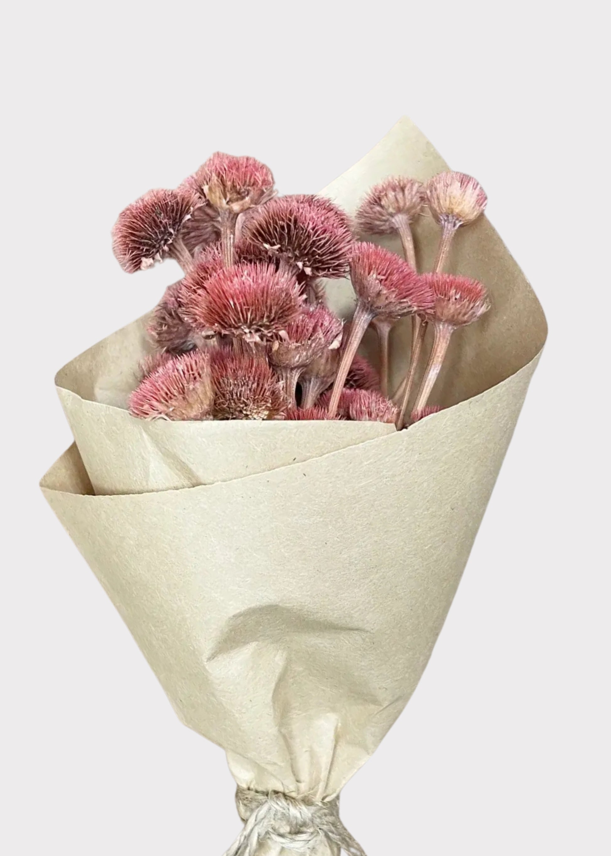 dried daisy bouquet