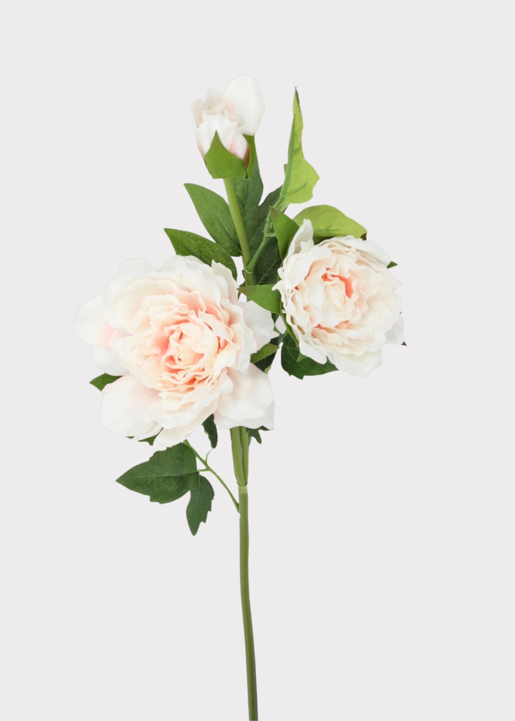 Real Touch Peony Flowers in Soft Pink 
