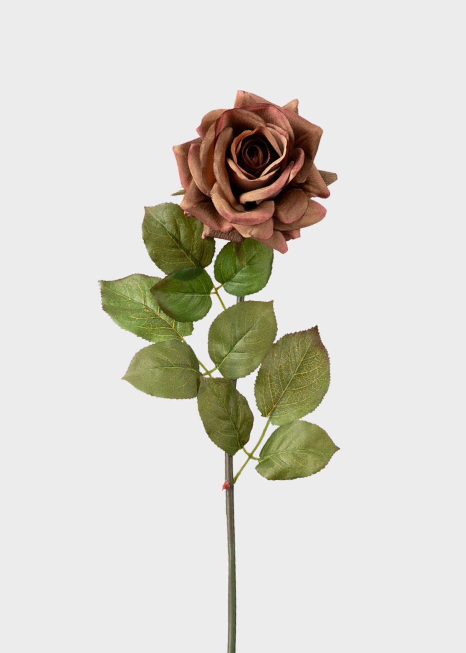 Mauve Brown Real Touch Rose