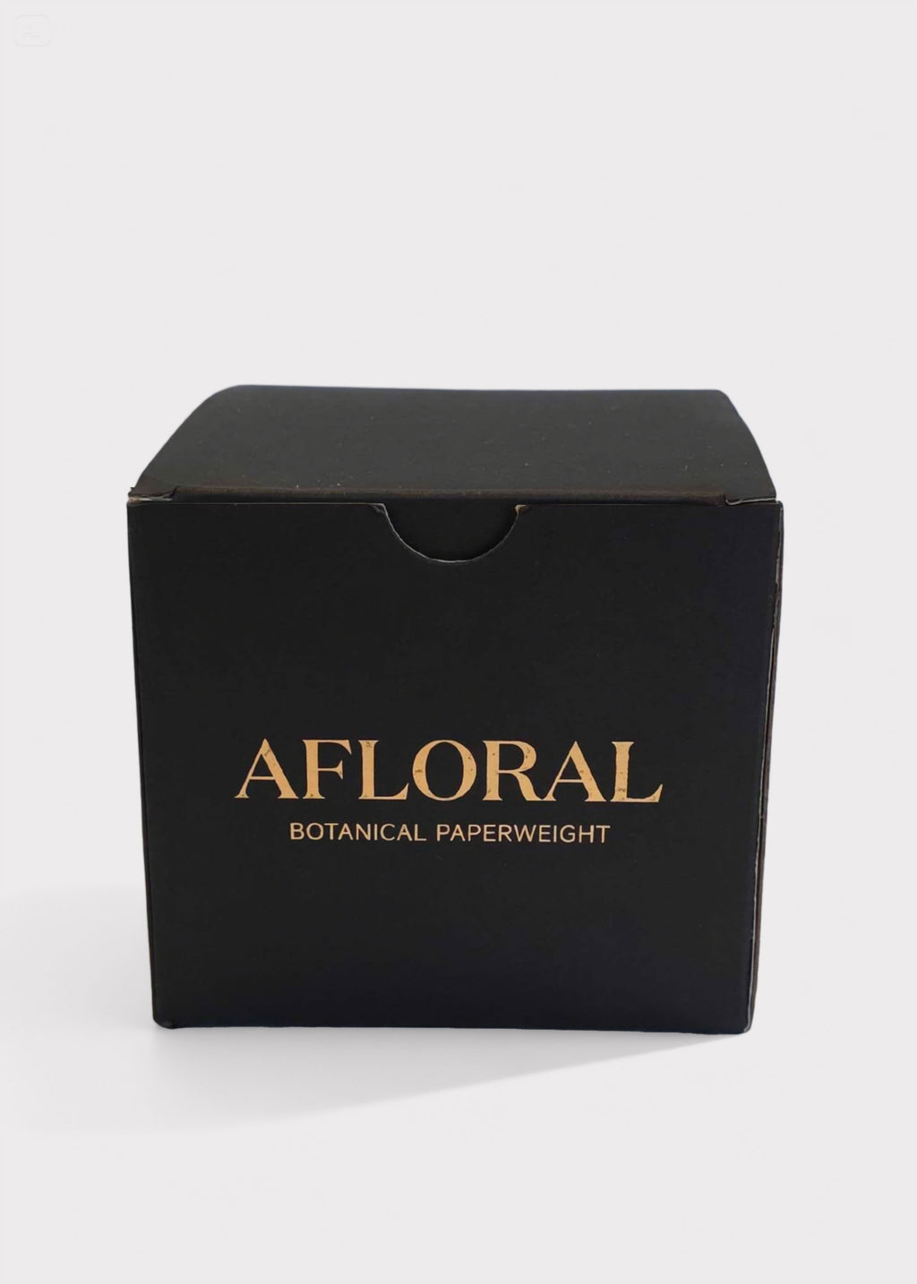 Afloral Preserved Purple Flower Head Paperweight Box