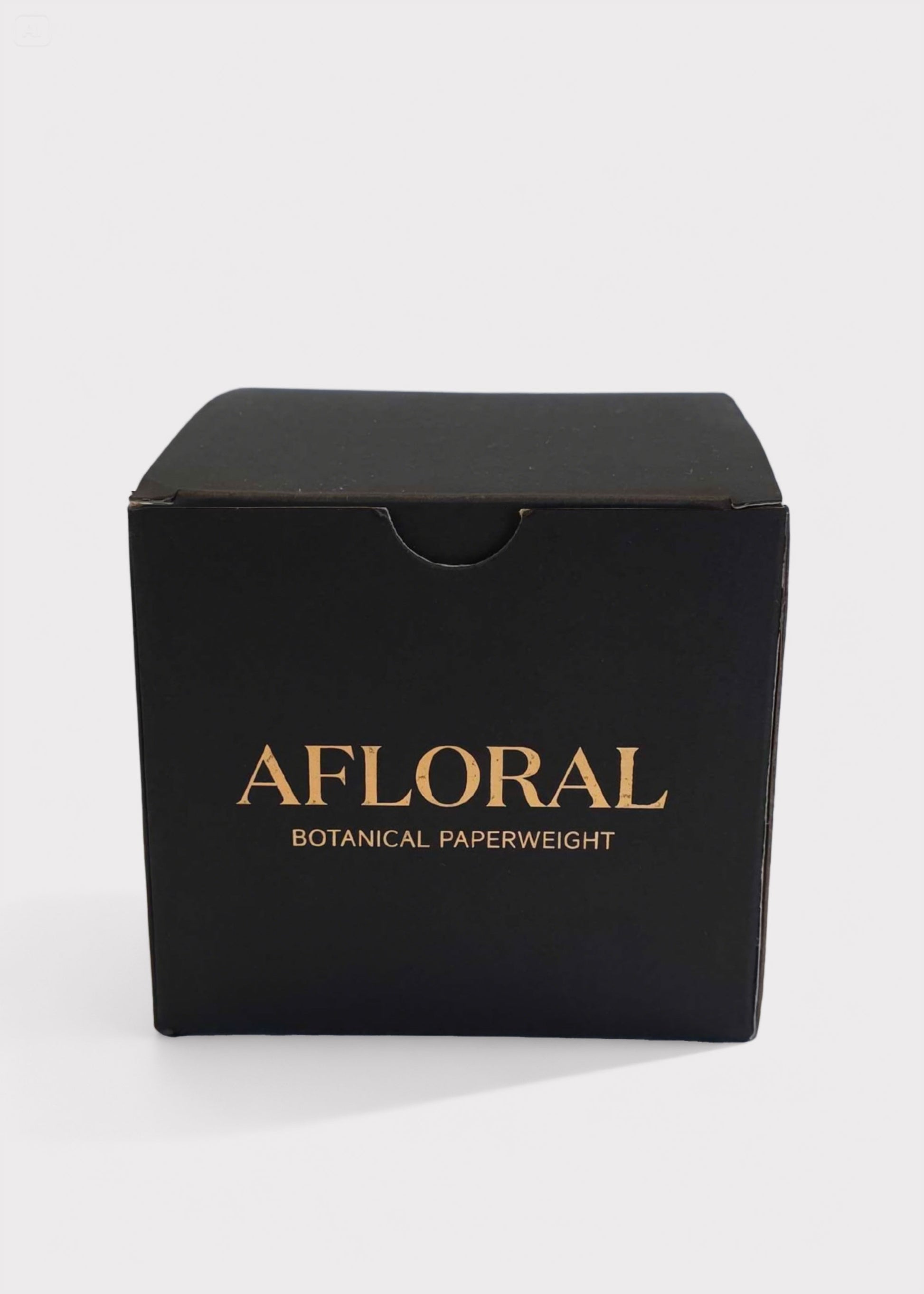 Afloral Preserved Purple Flower Head Paperweight Box