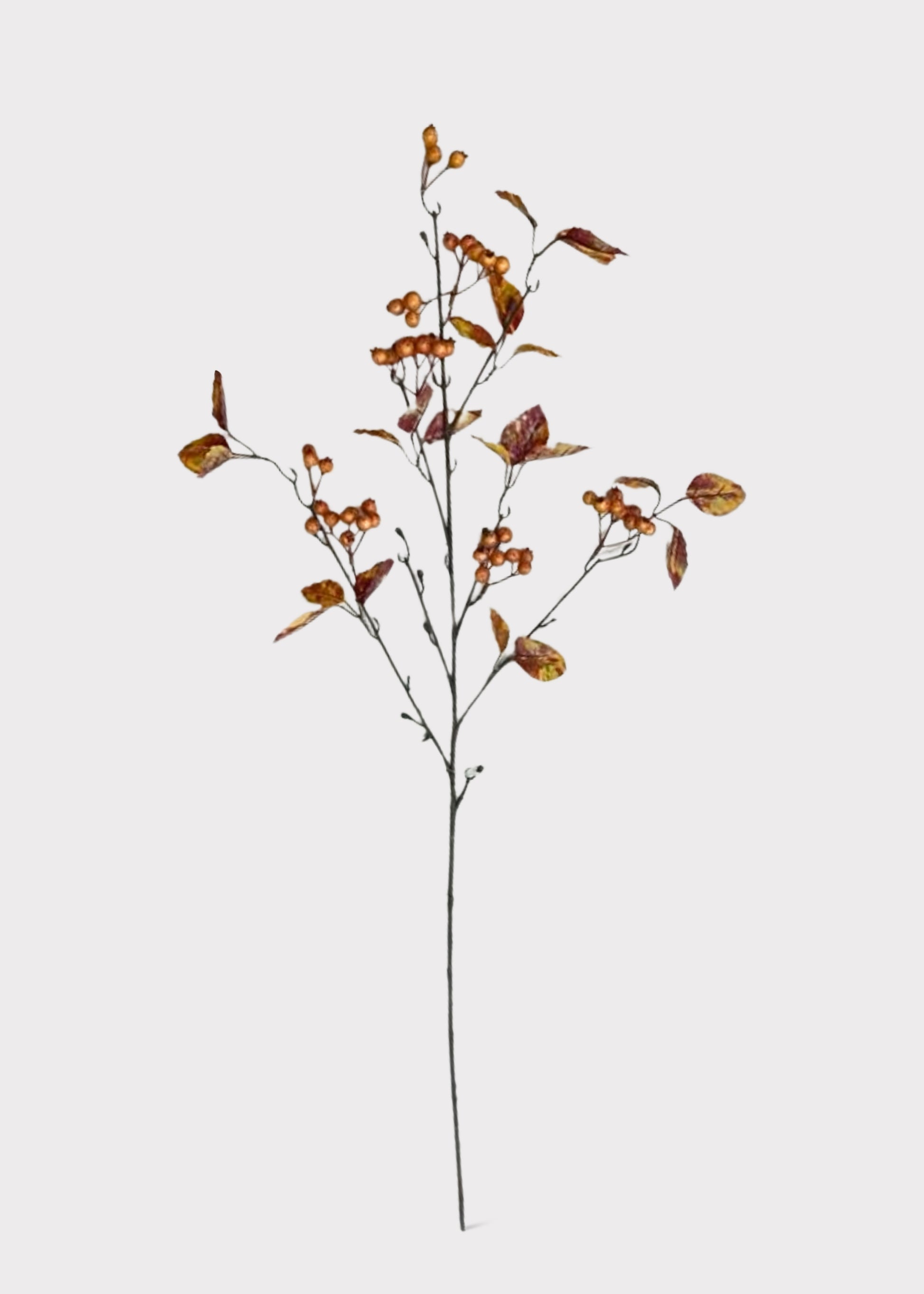  Rosehip Berry Pod and Leaf Branch 