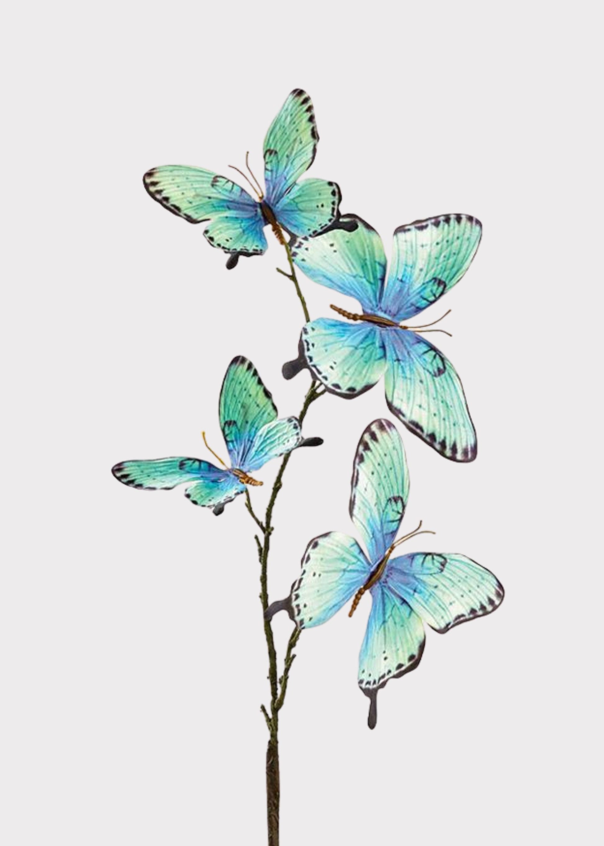 Decorative plant with blue butterfly-like flowers on a white background
